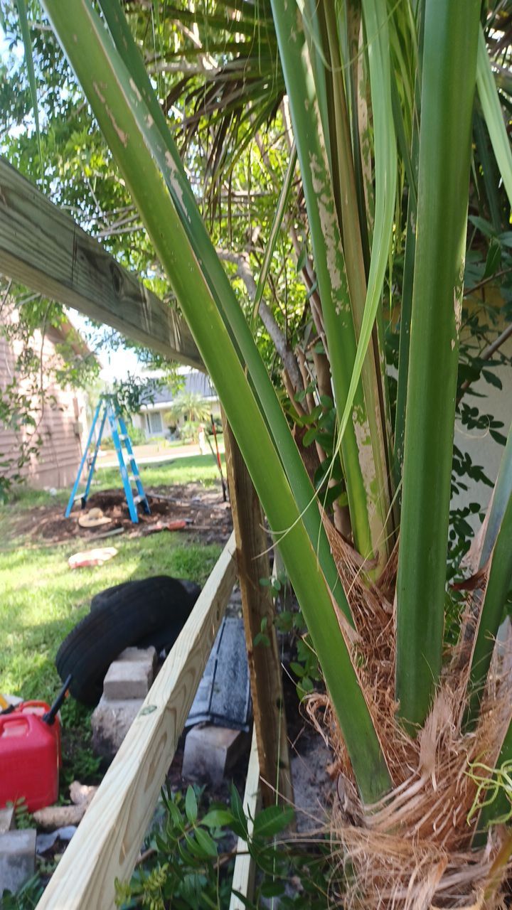 Nokomis, FL 6ft. Tall Treated Wood Shadowbox  by Asap fence and gates, LLC