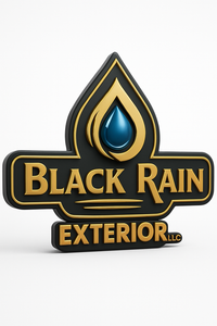 Logo for Black Rain Exterior