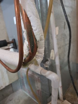 Project in Vancouver