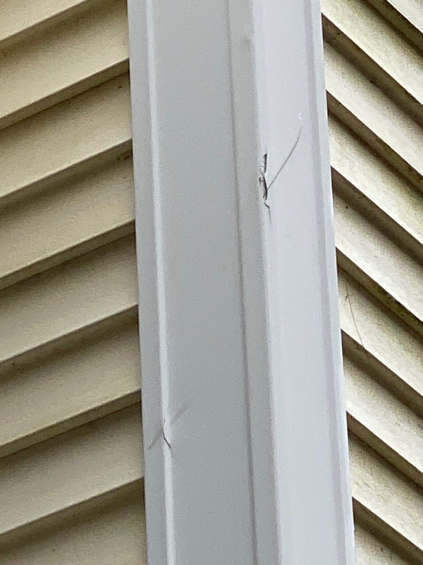 Gutters | Arlington by Mighty Dog Roofing of Greater Middlesex County