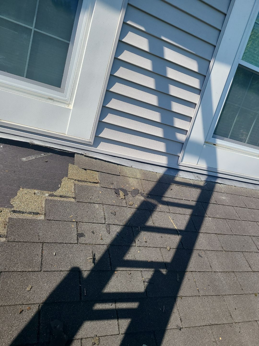 Springfield: CertainTeed Landmark Pro Designer Shingles in Max Def Moire Black by RM Banning, Inc.