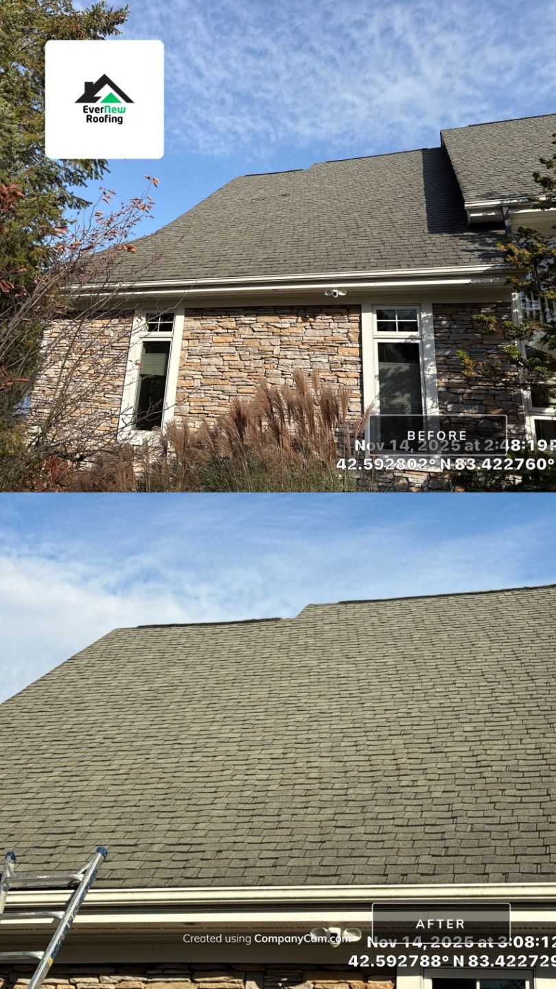 Roof Rejuvenation in West Bloomfield by EverNew Roofing 