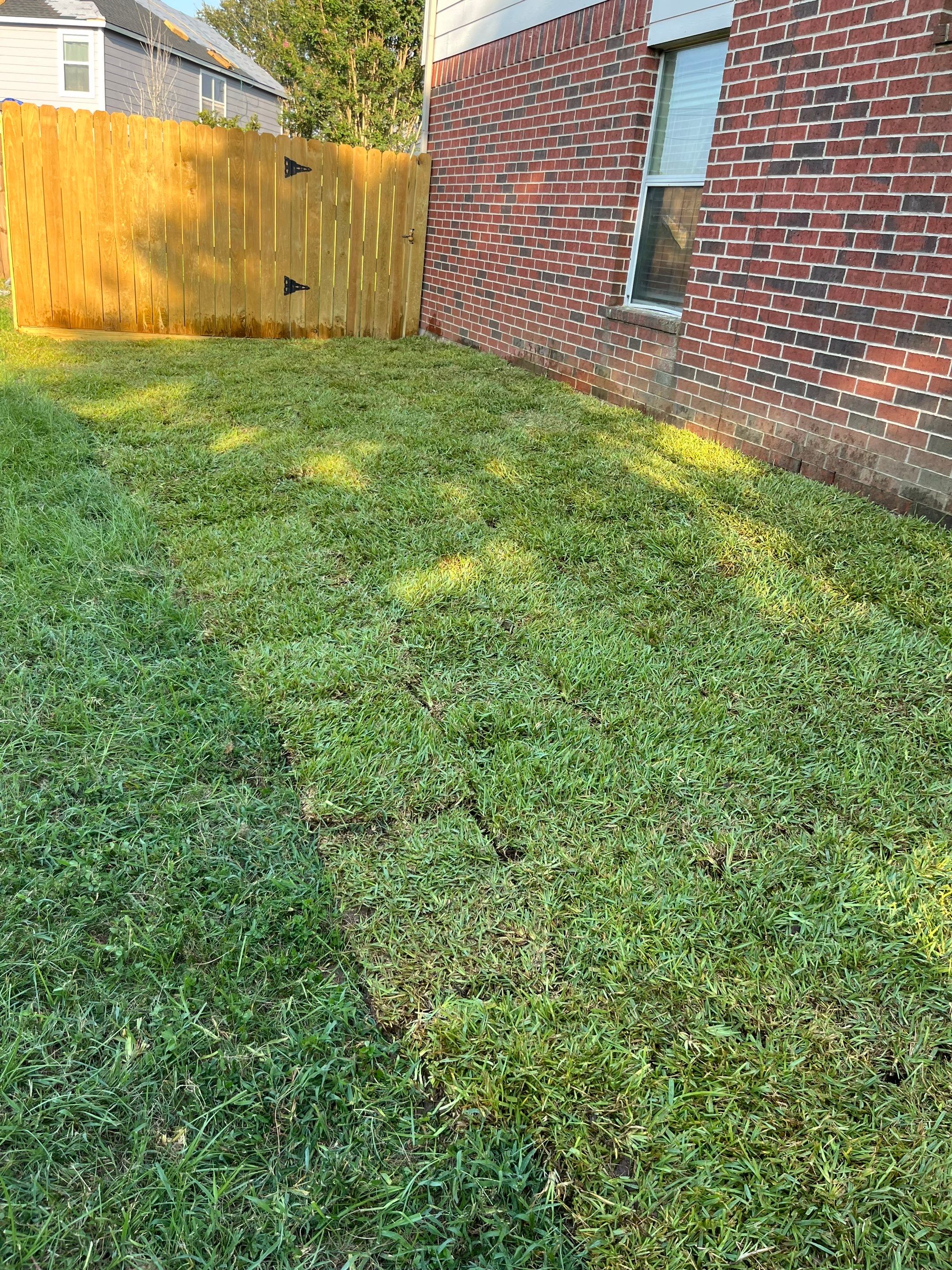 Sandra — Front & Backyard Leveling, Drainage, and Sod Transformation by Texas Urban Elements