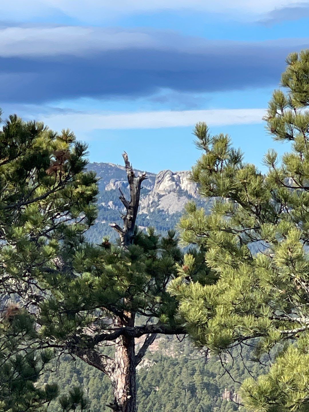 Black Hills Upgrade by Weather-Tite Exteriors LLC