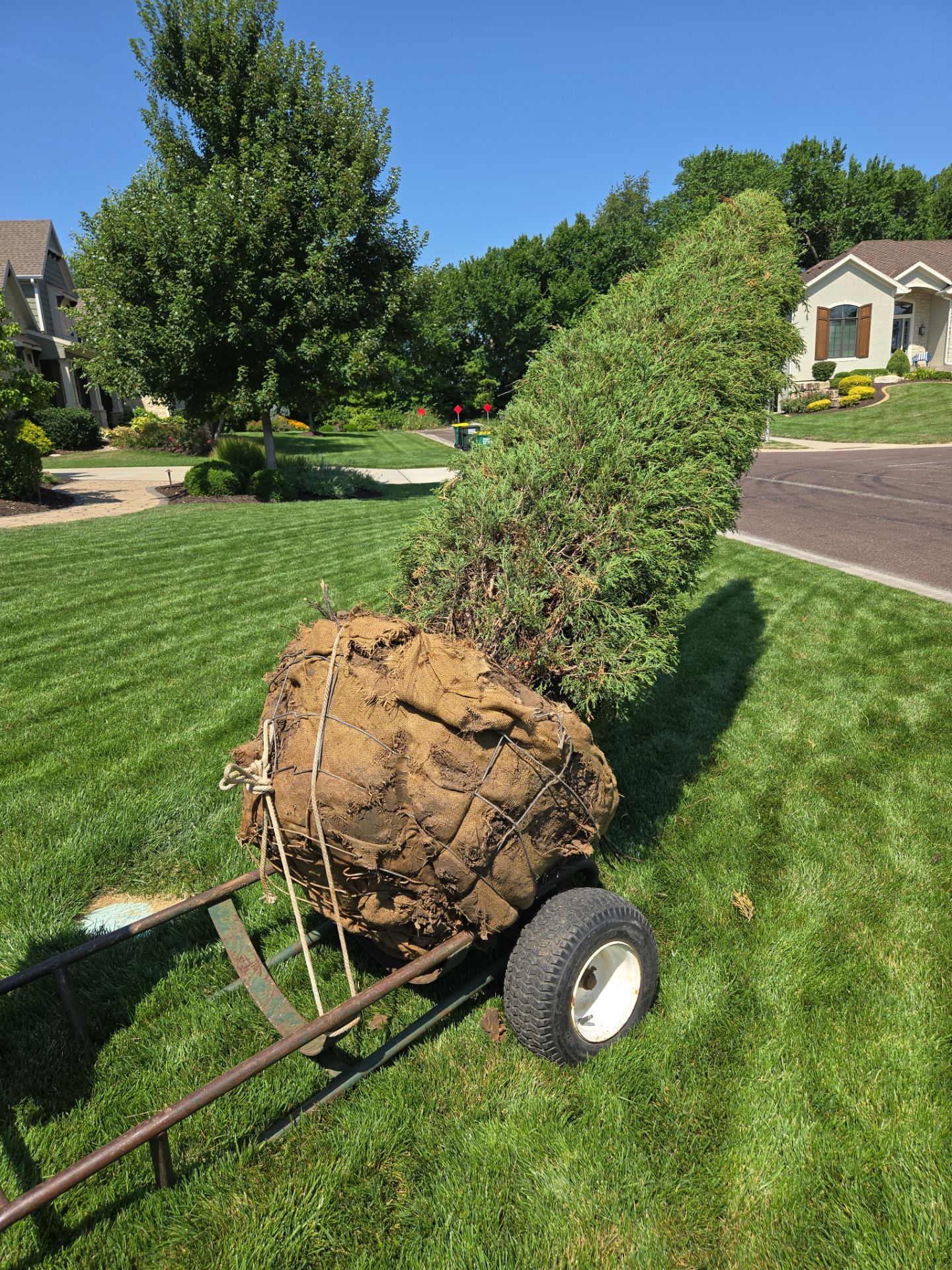 Front Yard Landscape and Walkway Renovation in Overland Park by LAND ESCAPES LLC
