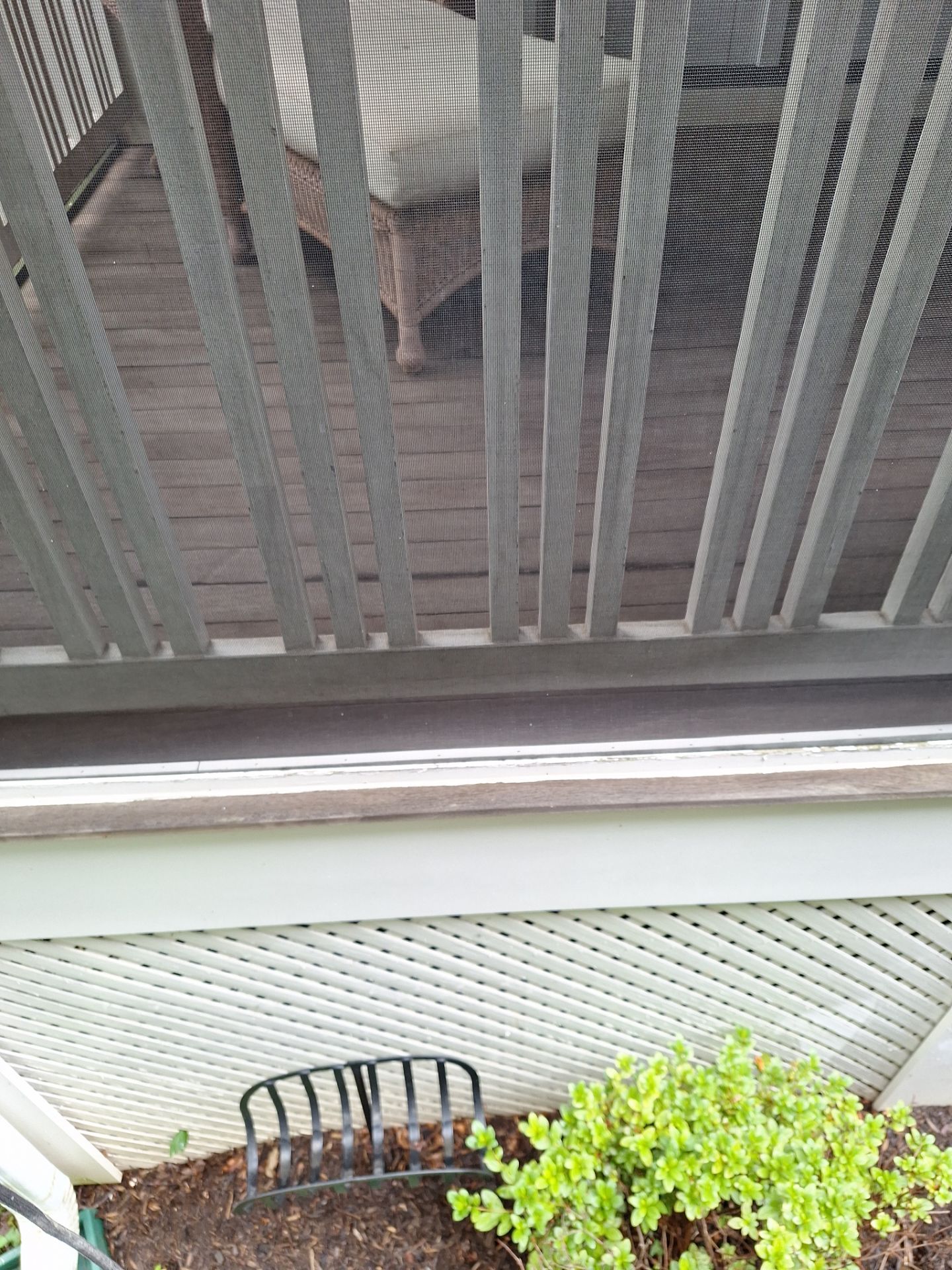 Deck Refinishing Arlington, VA by My Painter 