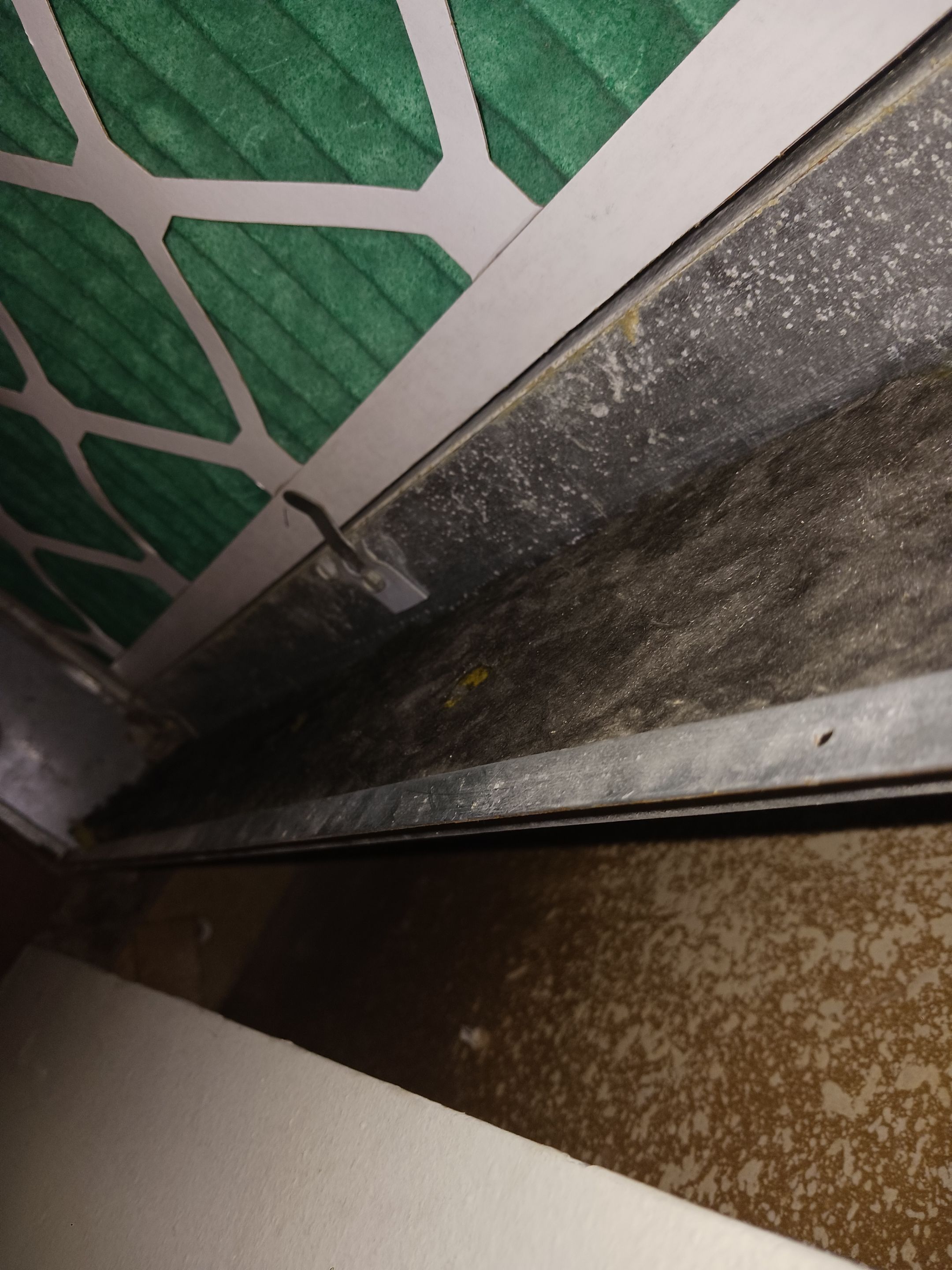 Commercial Air Duct Cleaning in Leesburg by Hygienic Air, Inc