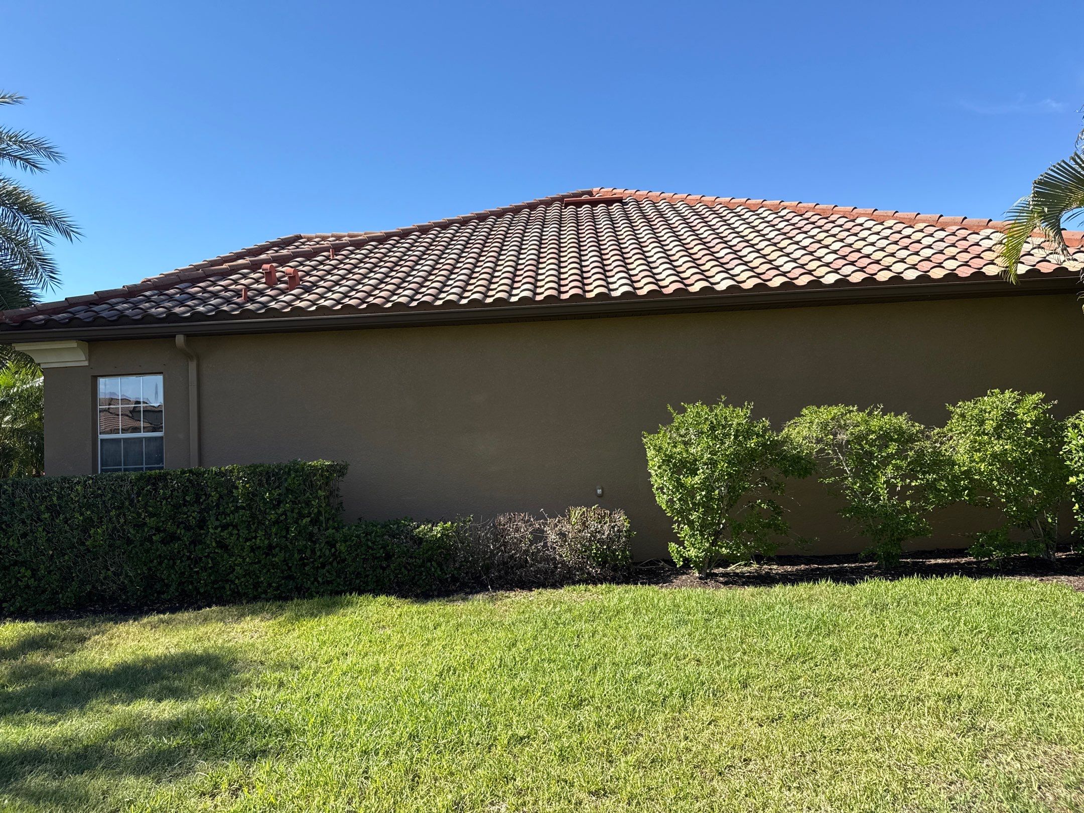 This project focused on a full gutter clean-out to restore proper water flow and prevent overflow issues.  Our scope of work included: 	•	Removing heavy leaf and pollen buildup from the gutter system 	•	Clearing out clogged sections along the rear gutters near the pool cage, where debris tends to accumulate more heavily 	•	Inspecting and cleaning the front gutter guards, which had several blocked areas restricting water flow 	•	Ensuring all downspouts and channels were flowing properly after service  Even with gutter guards installed, debris like pollen, shingle grit, and fine organic matter can still build up over time—especially in Florida’s environment. Regular maintenance helps prevent water damage, overflow, and staining on exterior surfaces.  Another thorough job completed by Sunshine AquaWash® – keeping homes protected from top to bottom. by Sunshine AquaWash