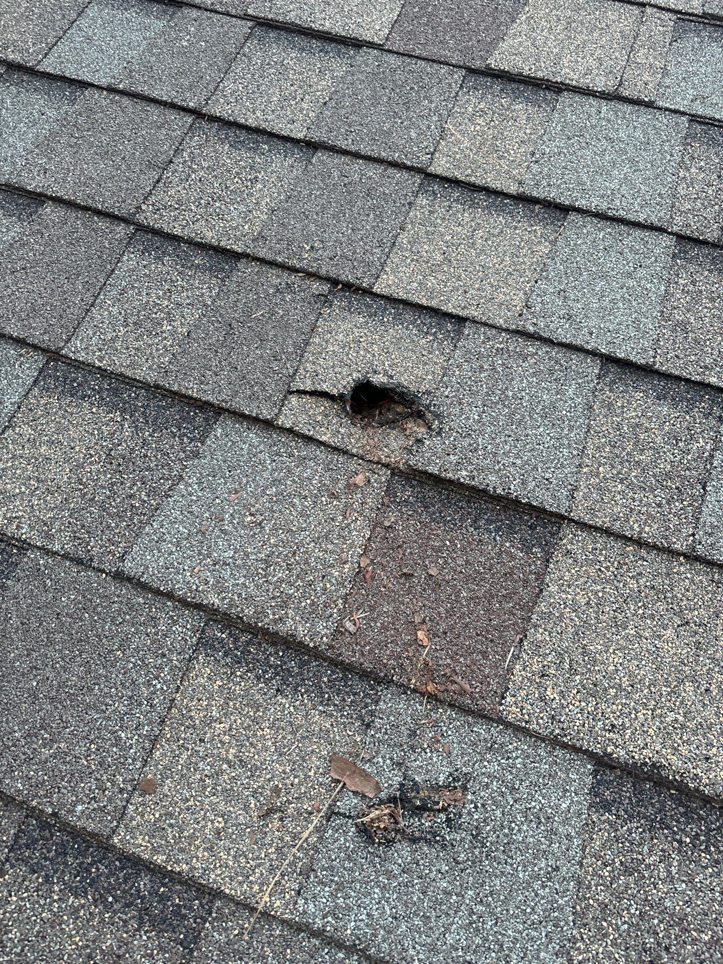 Roof Repair Spring by Roof Repair Company