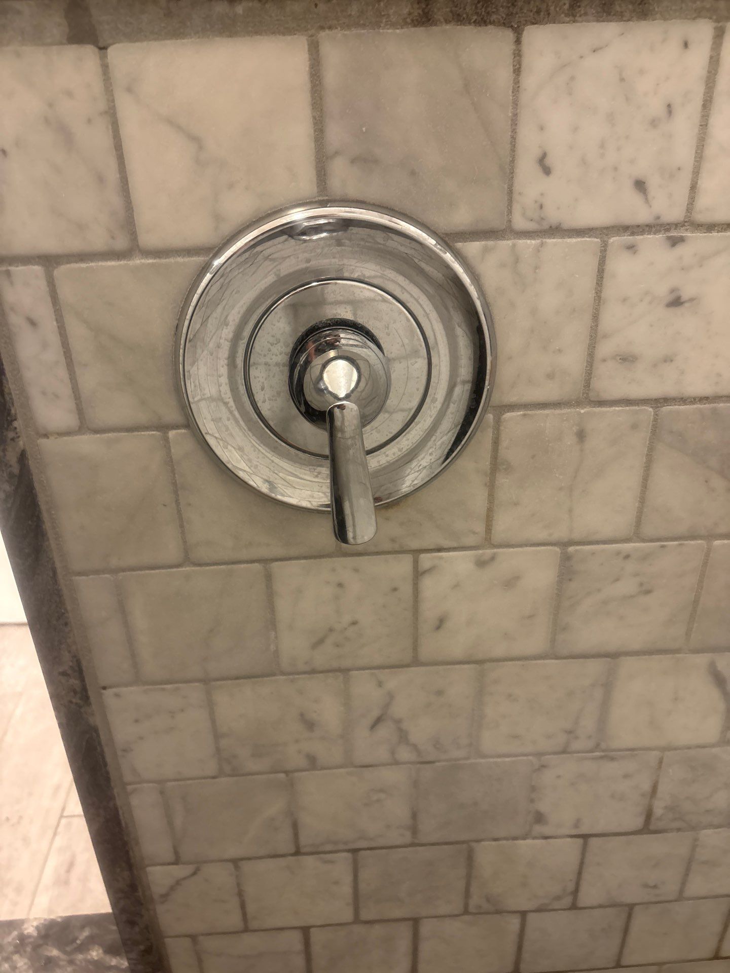 Shower Valve Replacement and Plumbing Hardware Update in Tampa by All Hours Plumber