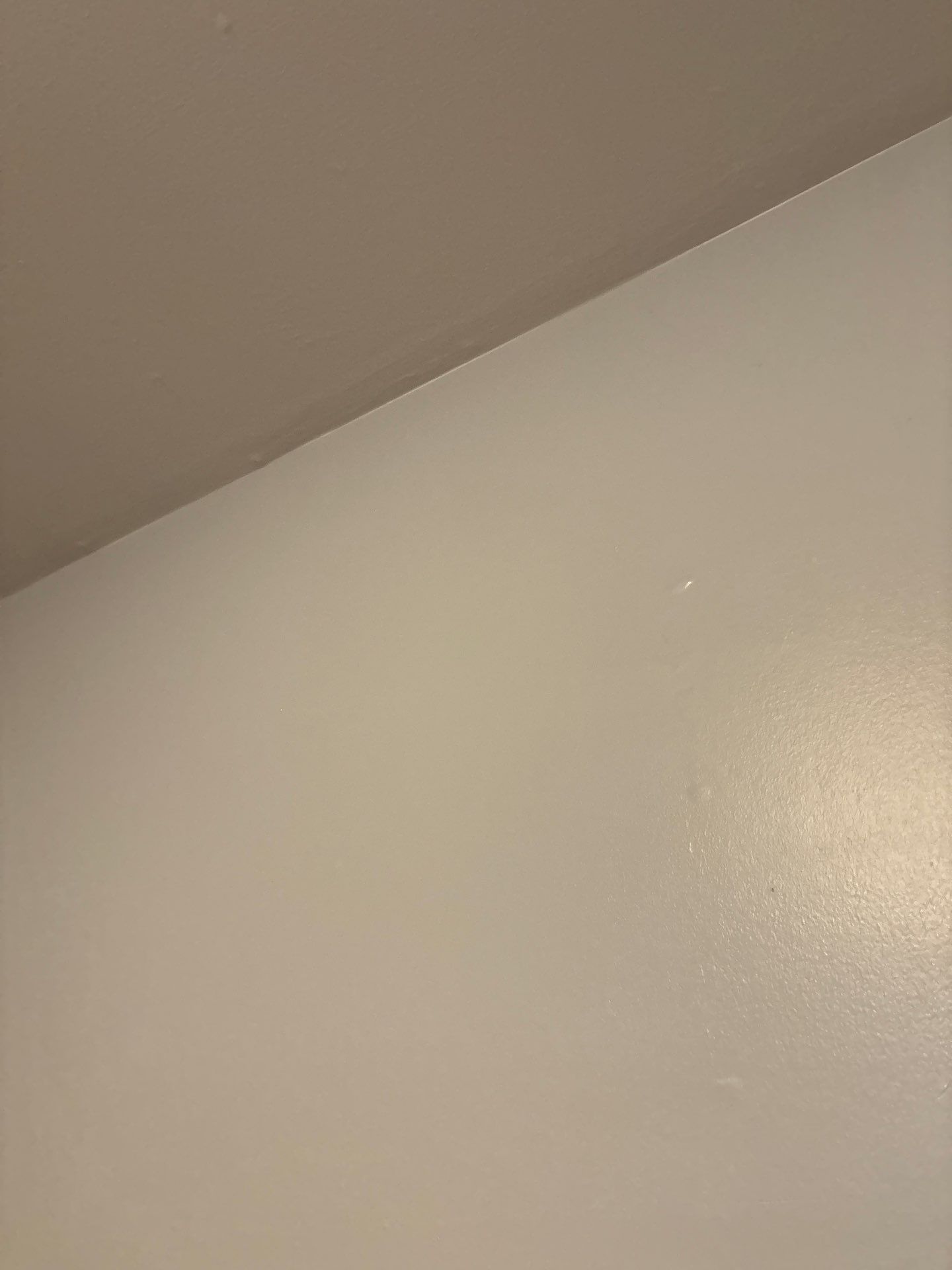Denver Interior Water Damage Remediation and Ceiling Repair by CompanyCam Sales Demo