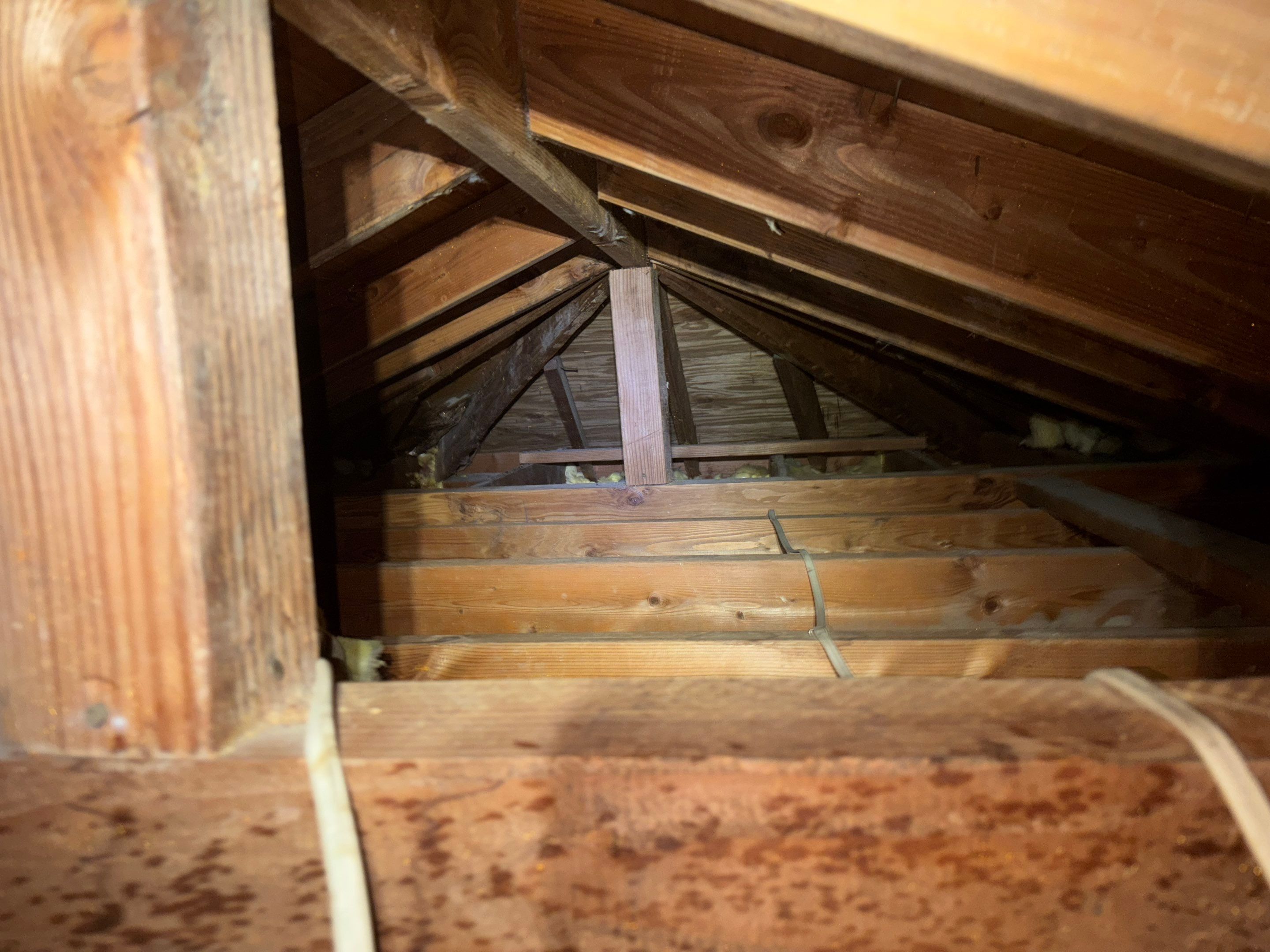 Project in Paramount by Insulation Labs