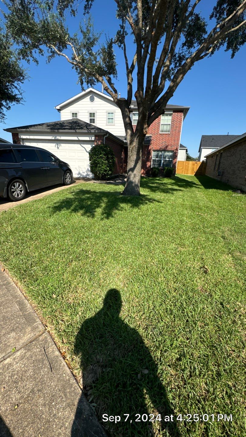 Sandra — Front & Backyard Leveling, Drainage, and Sod Transformation by Texas Urban Elements