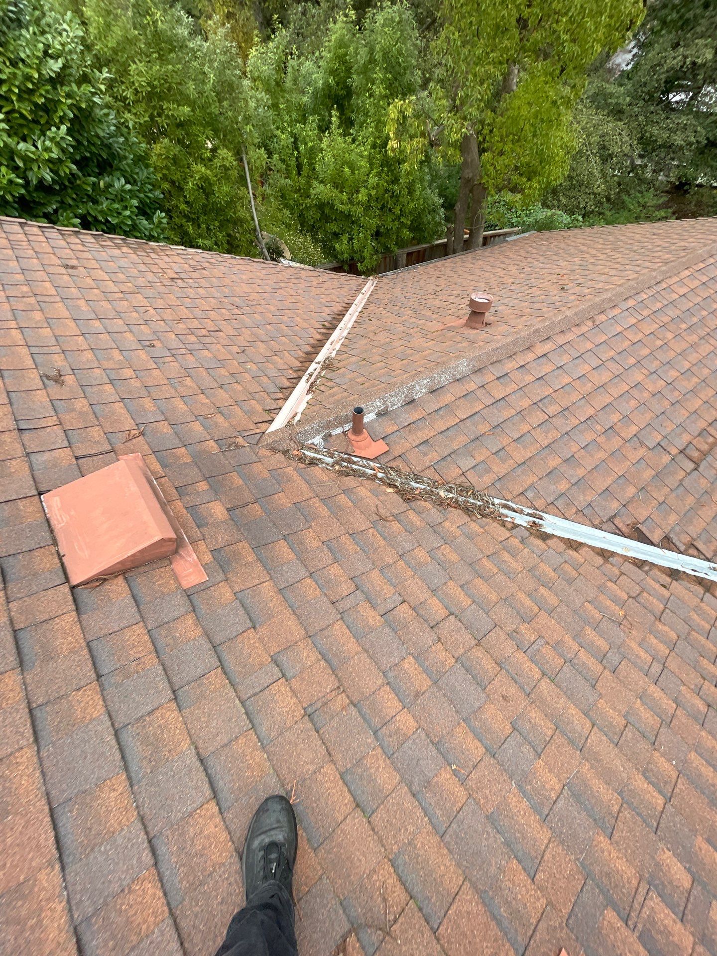 Roof Rejuvenation using Roof Maxx Treatment by Roof Maxx of Folsom