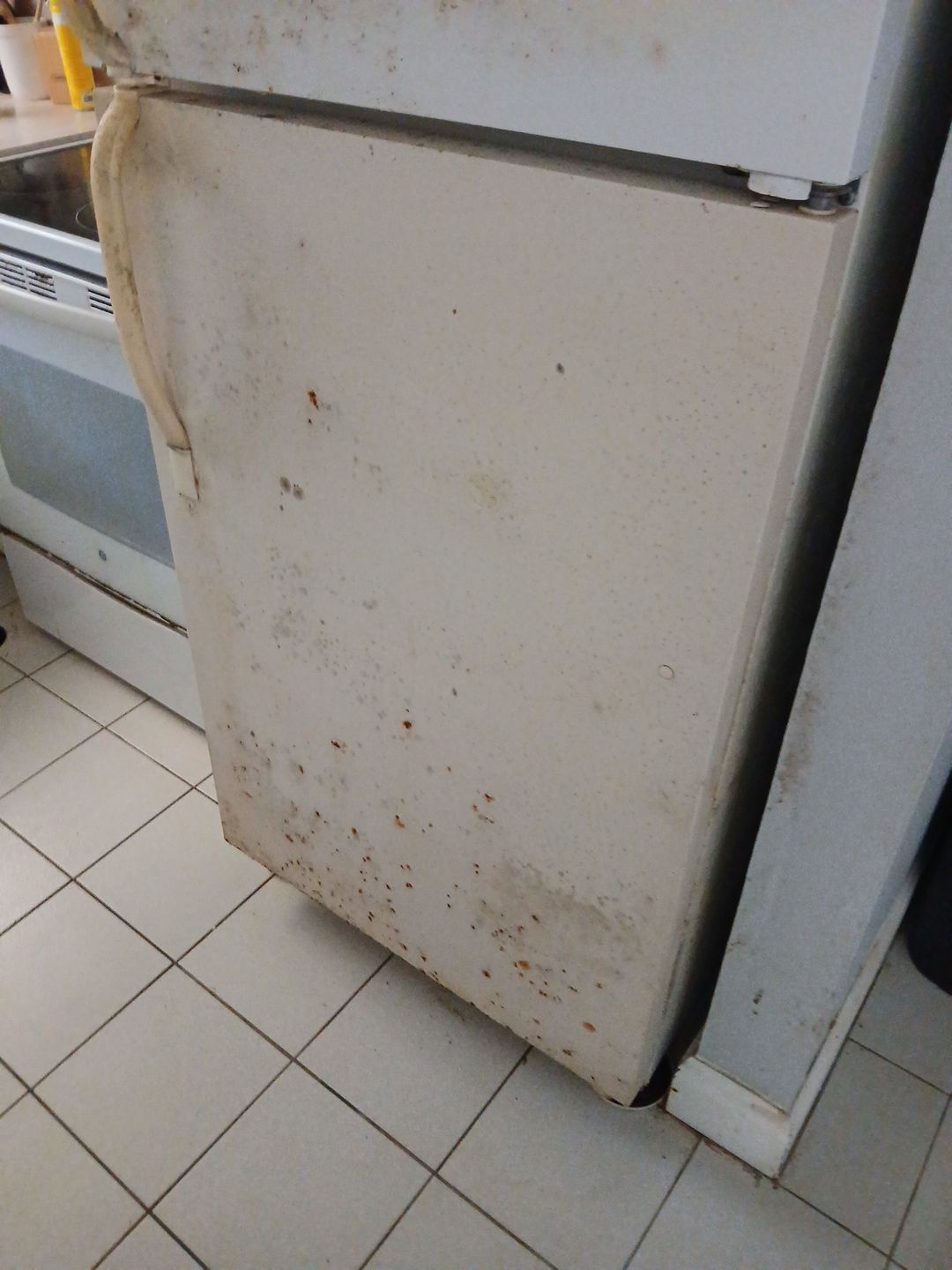 Mold Remediation and Moisture Detection Services in West Palm Beach by SuperClean
