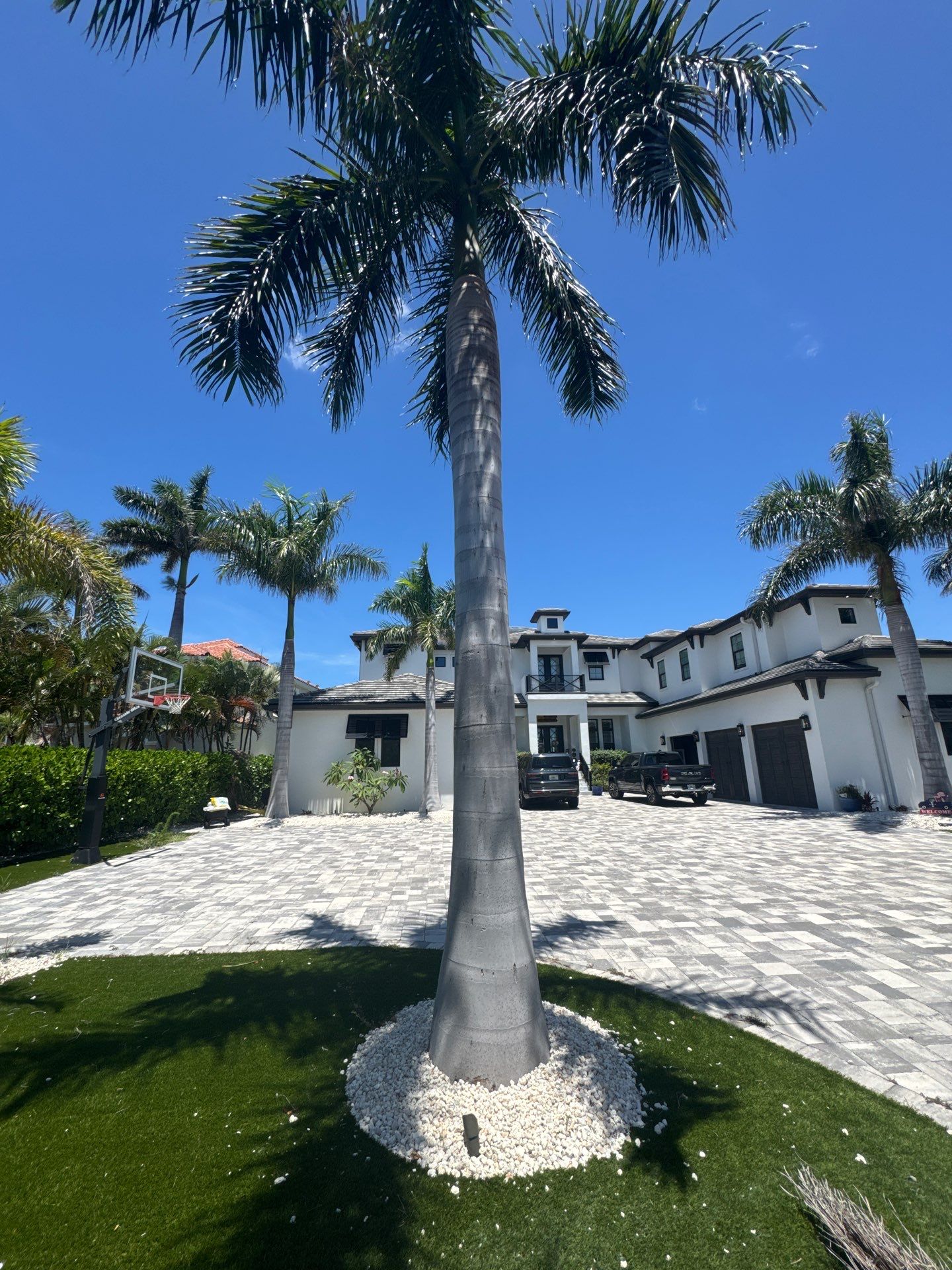 Custom Low-Voltage Landscape Lighting for Apollo Beach Waterfront Home by Elegant Accents