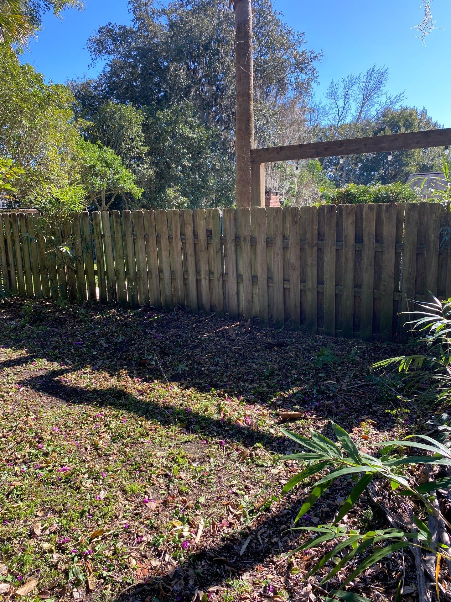 Deerwood Resident | Shrub Removal by ProGreen Services