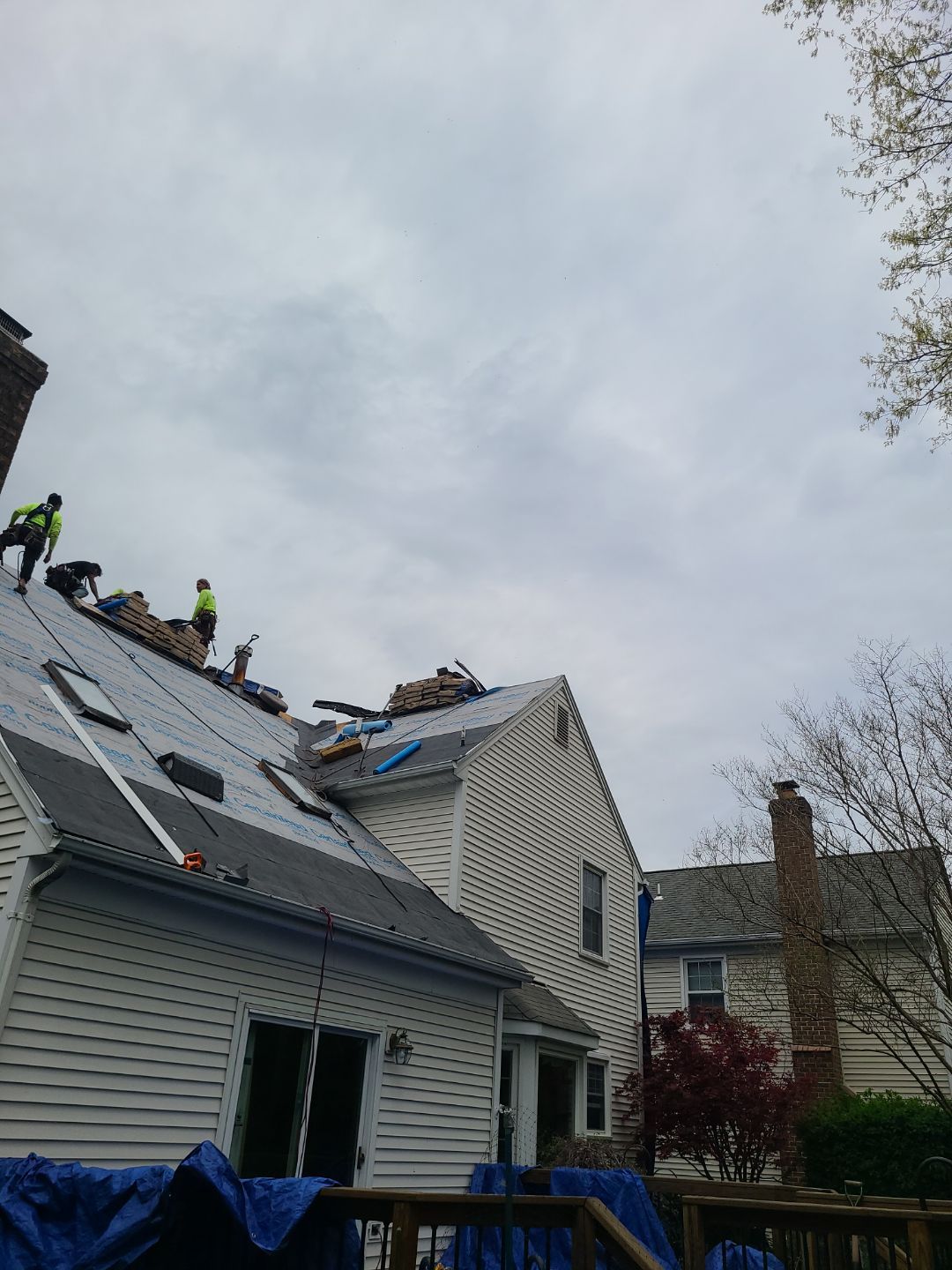 Vienna: CertainTeed Landmark Pro Designer Shingles in Max Def Moire Black by RM Banning, Inc.