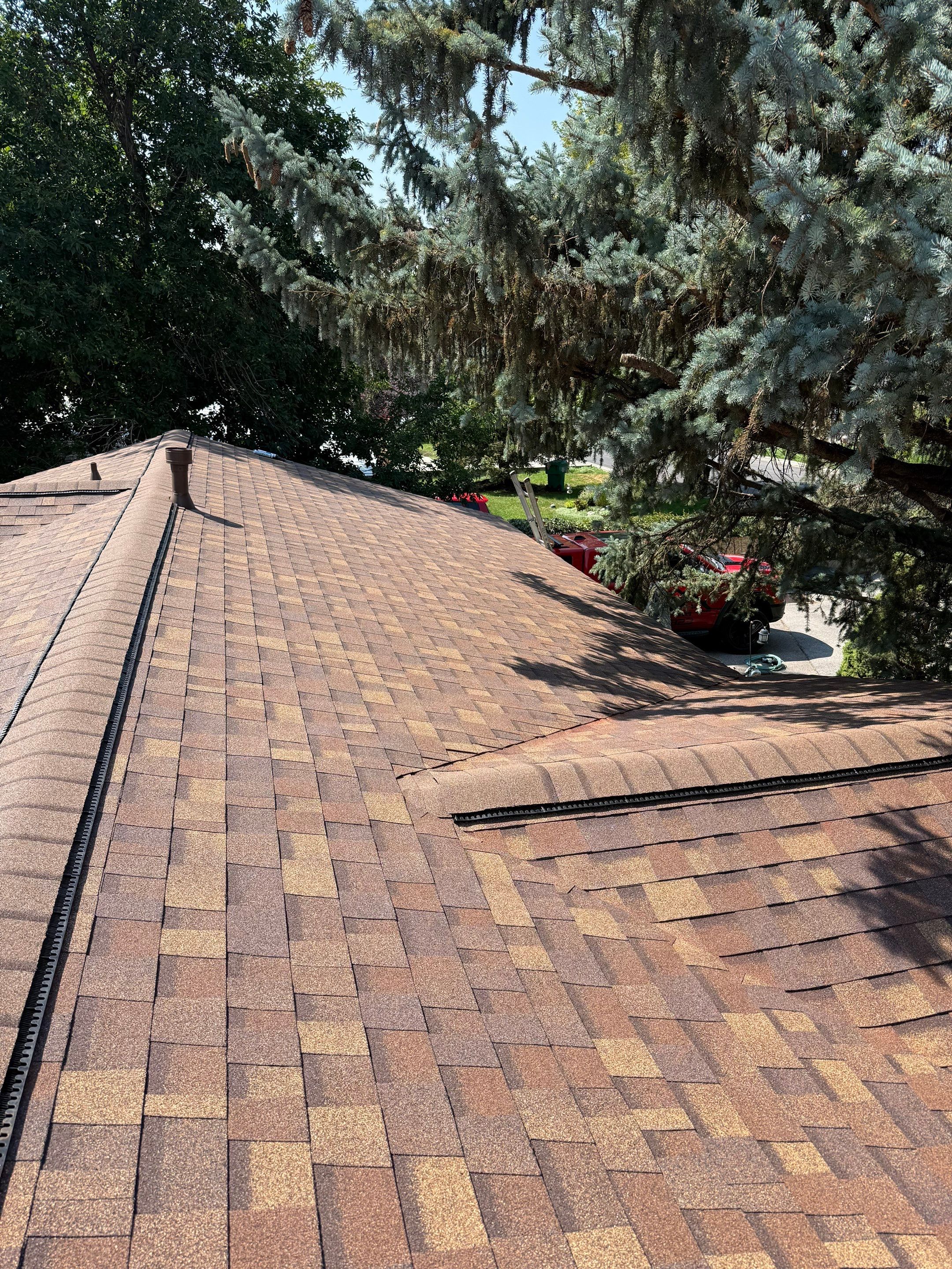 Roofing by Go Pro Roofing