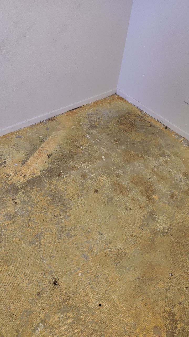Water Damage by Accountable Home Services