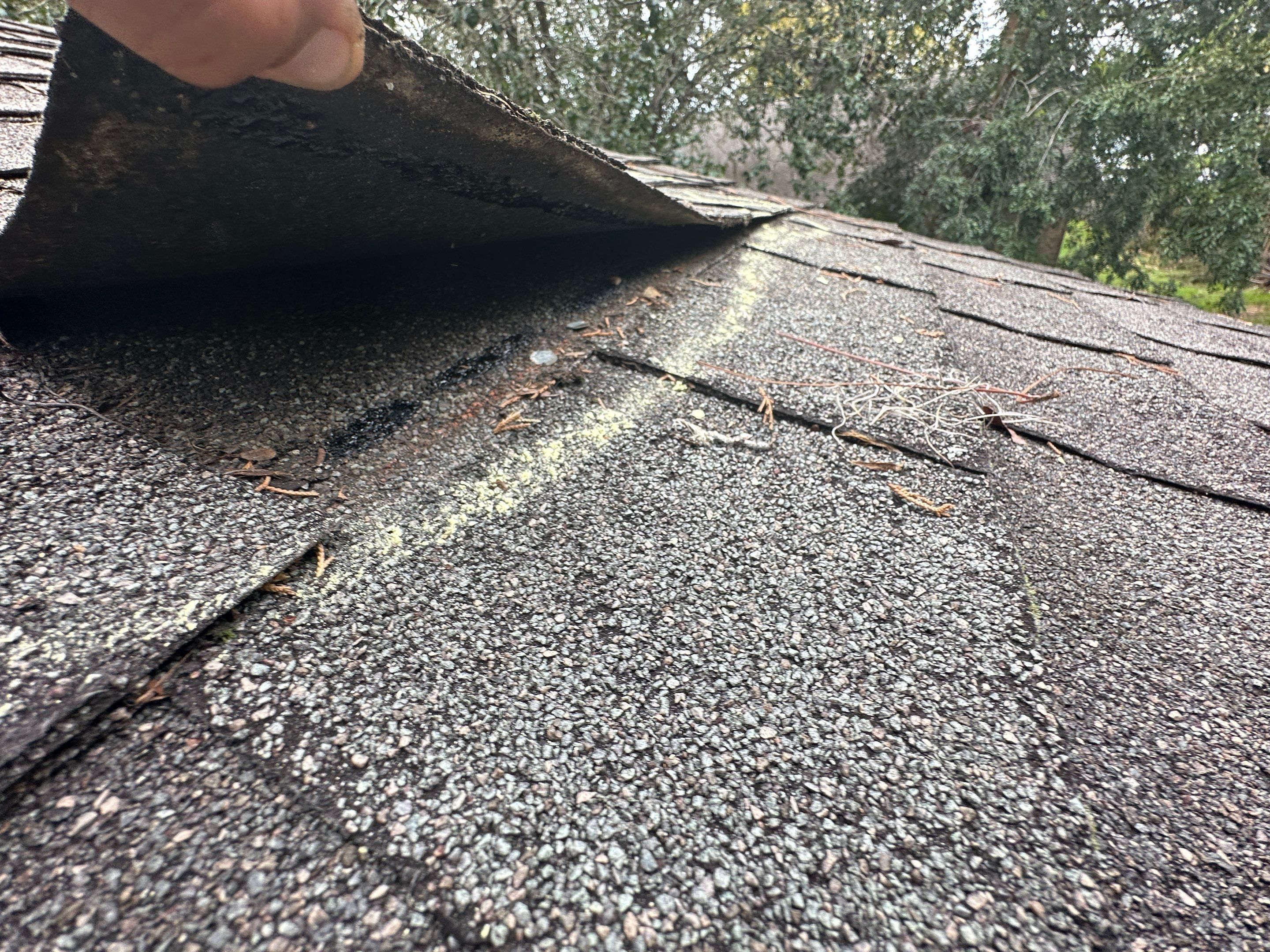 Roof Damage Claim in Pinetta by FLAPA & KeyStone