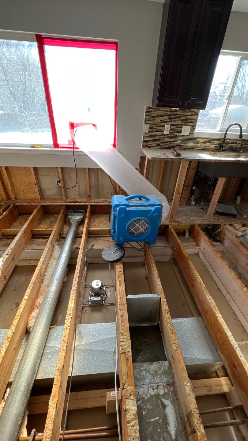 Mold Remediation by Accountable Home Services