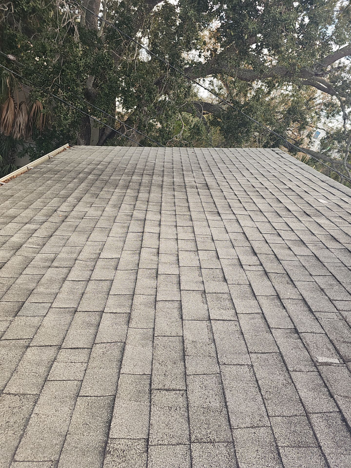 Project in St. Petersburg 33713 by Mitchell Roofing Company LLC 