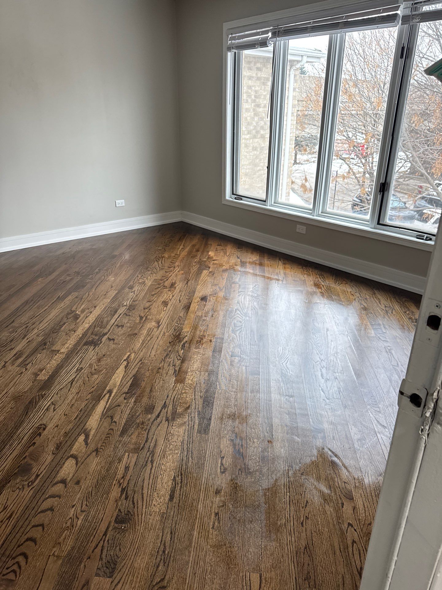 Project in Chicago by Xo Clean Services 
