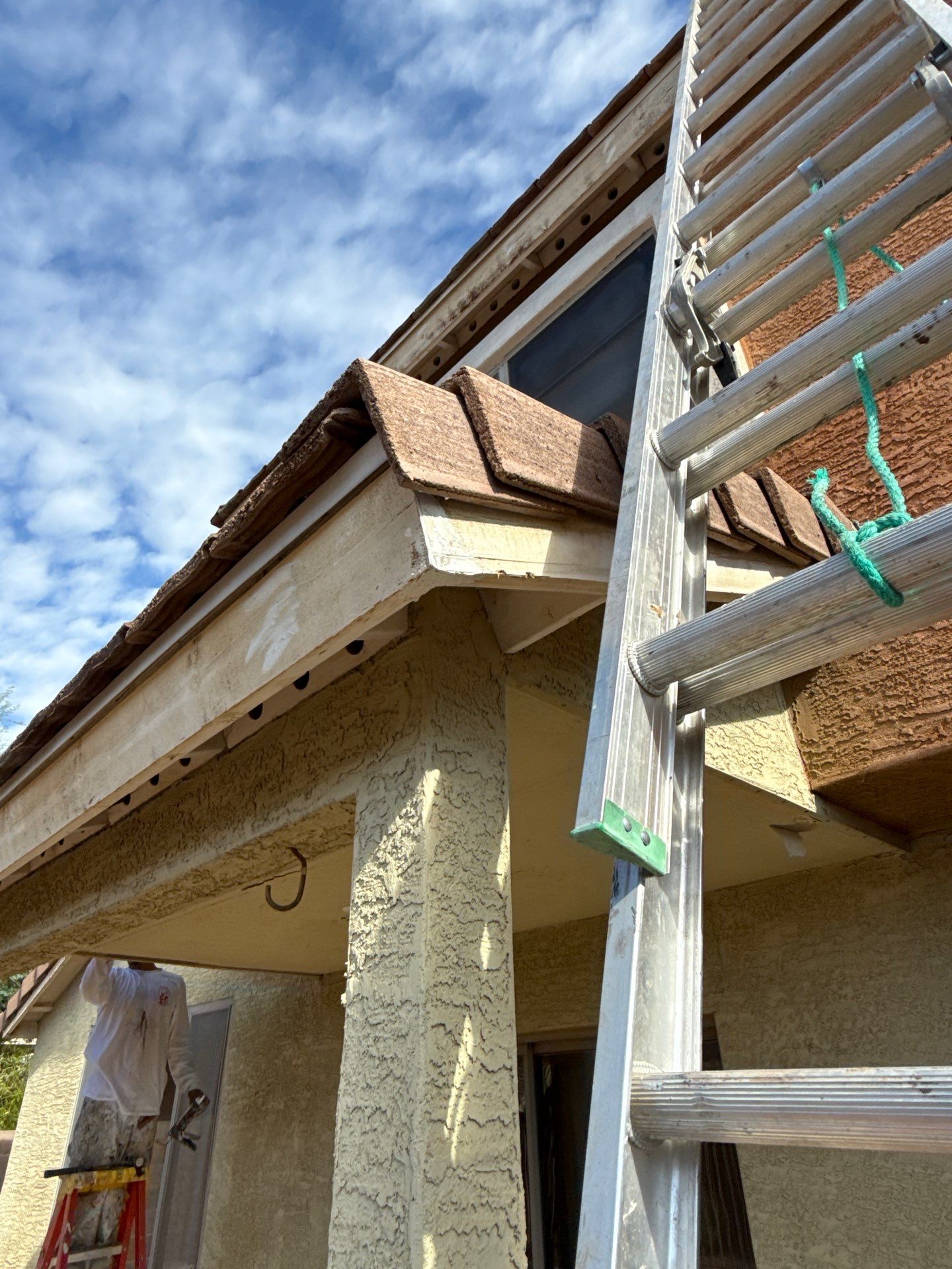 Exterior Painting - Gilbert by Crash of Rhinos Painting & Garage Floors