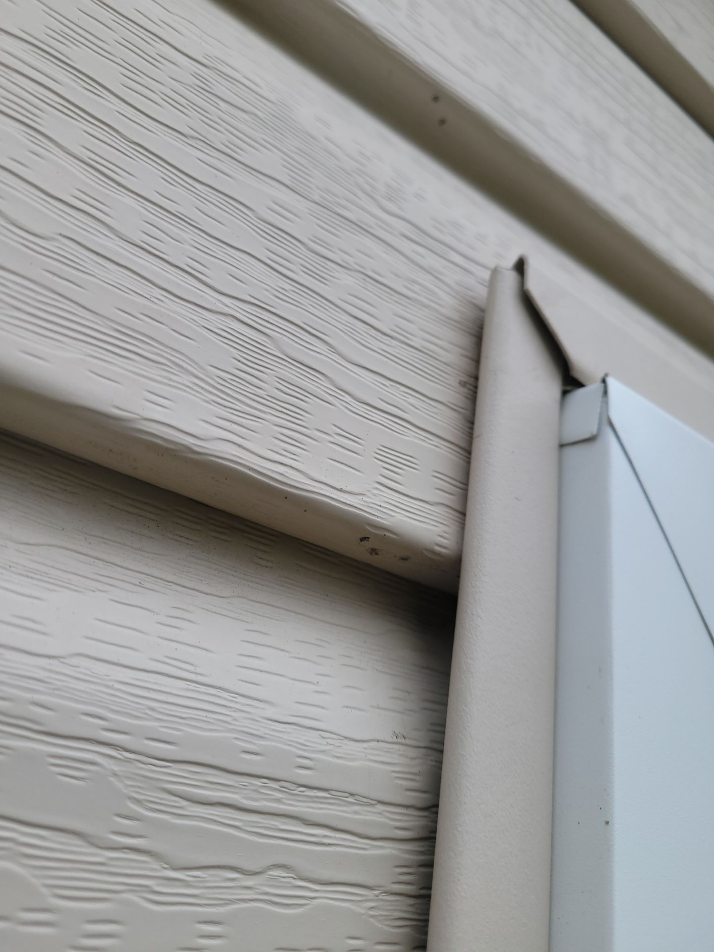 Samantha Anderson by Silver Leaf Contracting 