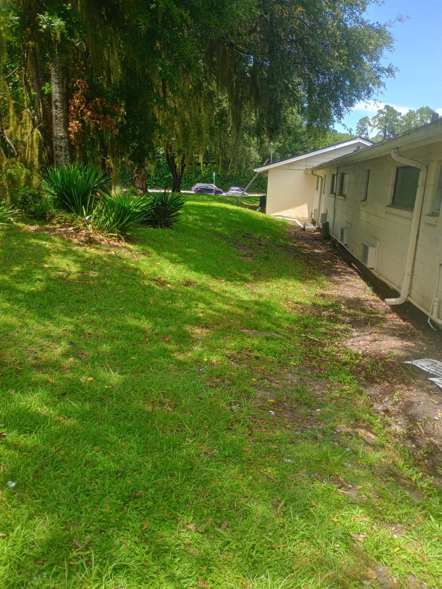 Project in Gainesville by True Force Roofing