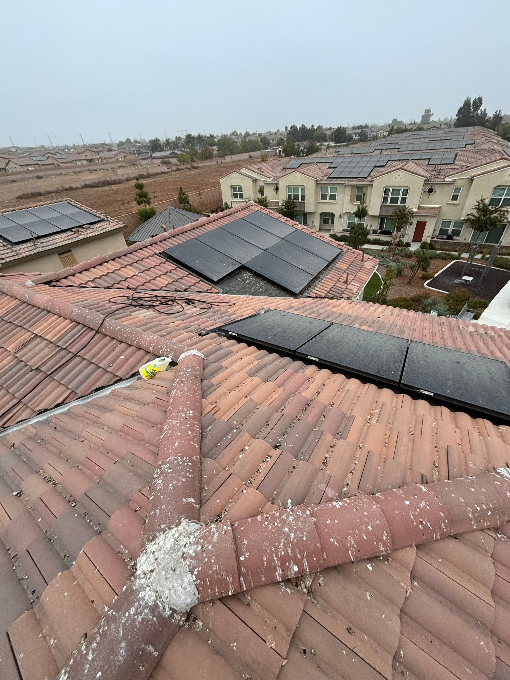 Solar Panel Bird Proofing in Fontana Ca by Palm Coast Solar Cleaning