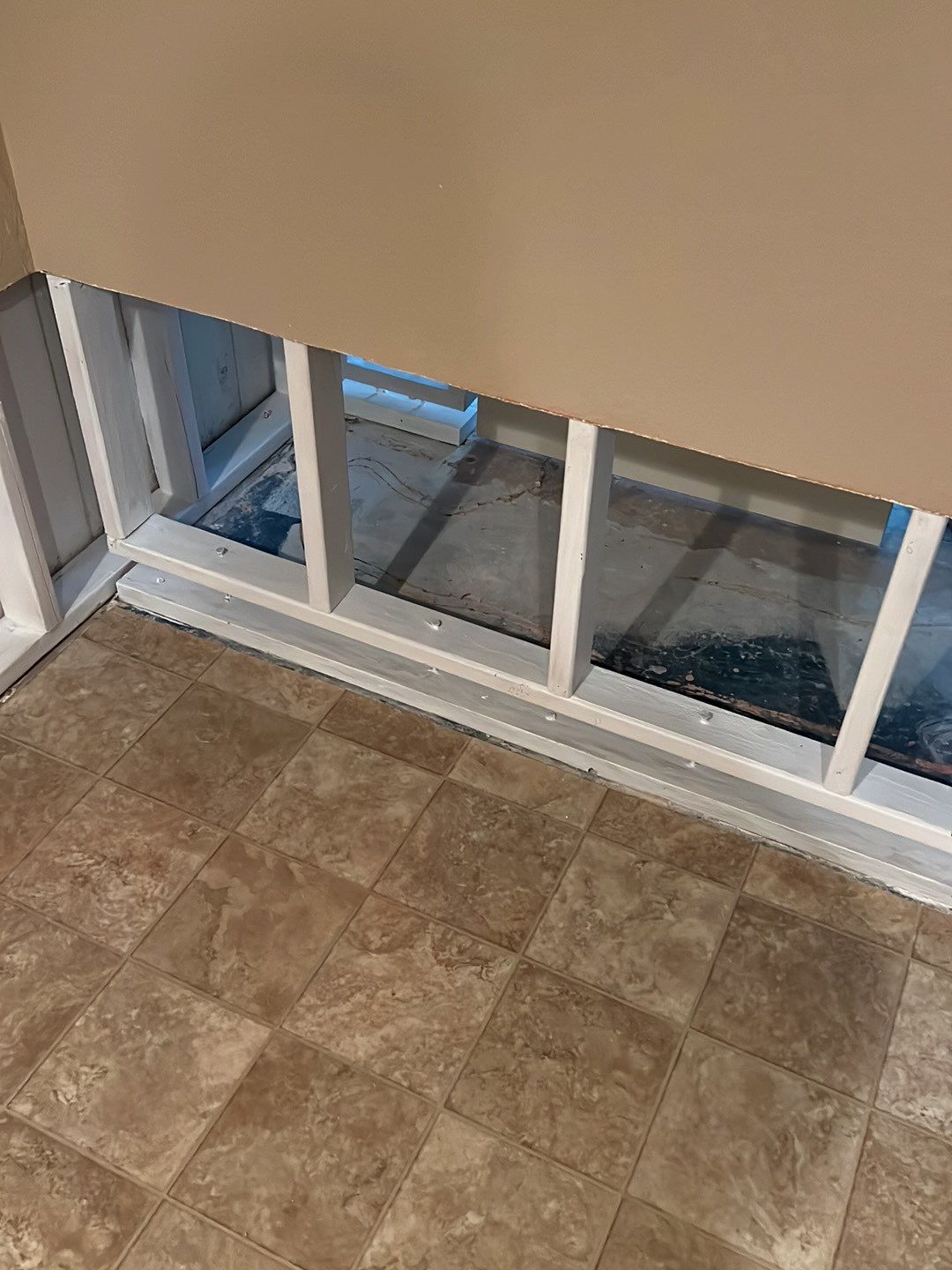 Mold Damage by Accountable Home Services