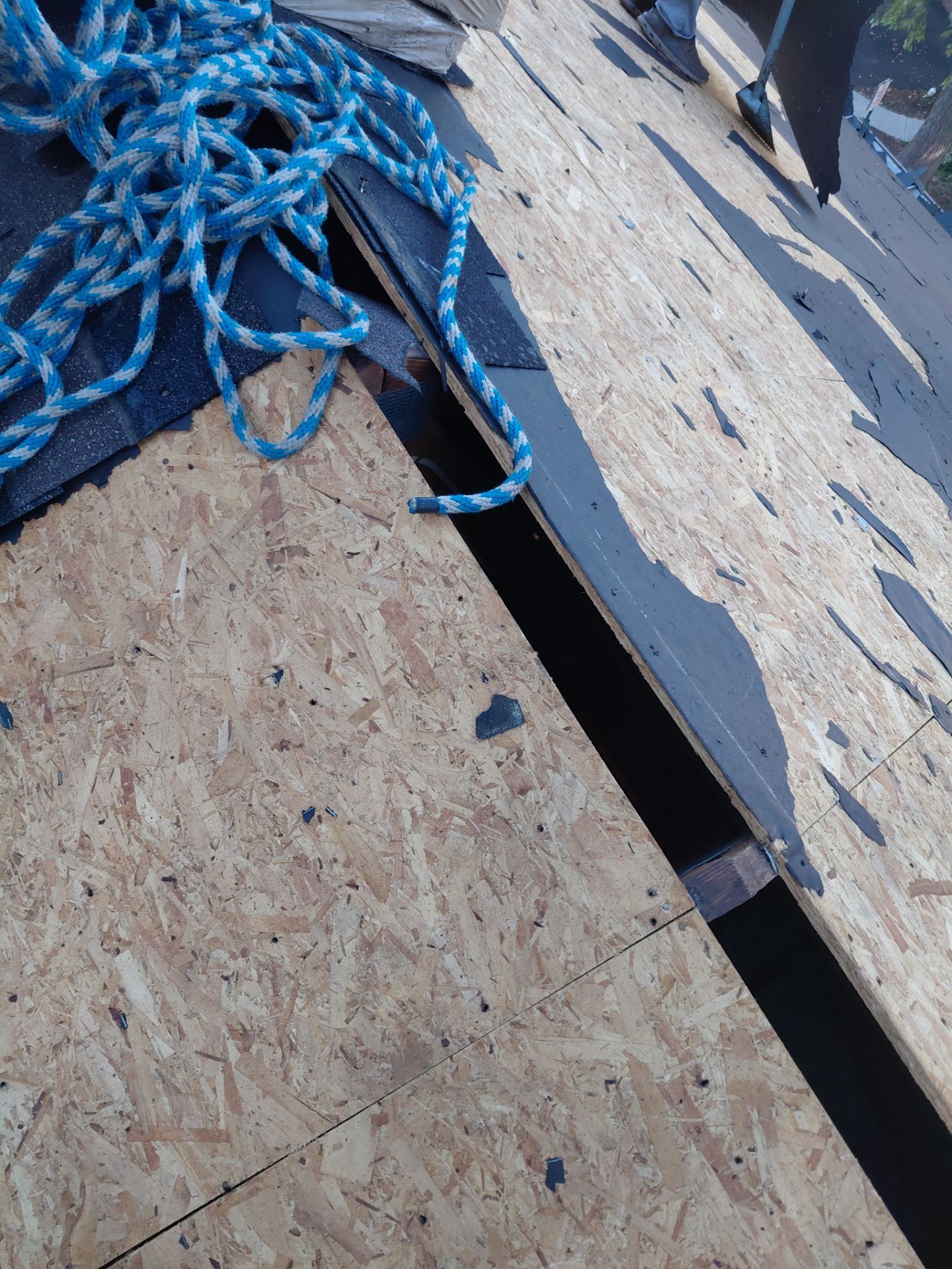 Alexandria : Residential Roof Replacement with CertainTeed Landmark Pro in Max Def Heather Blend  by RM Banning, Inc.