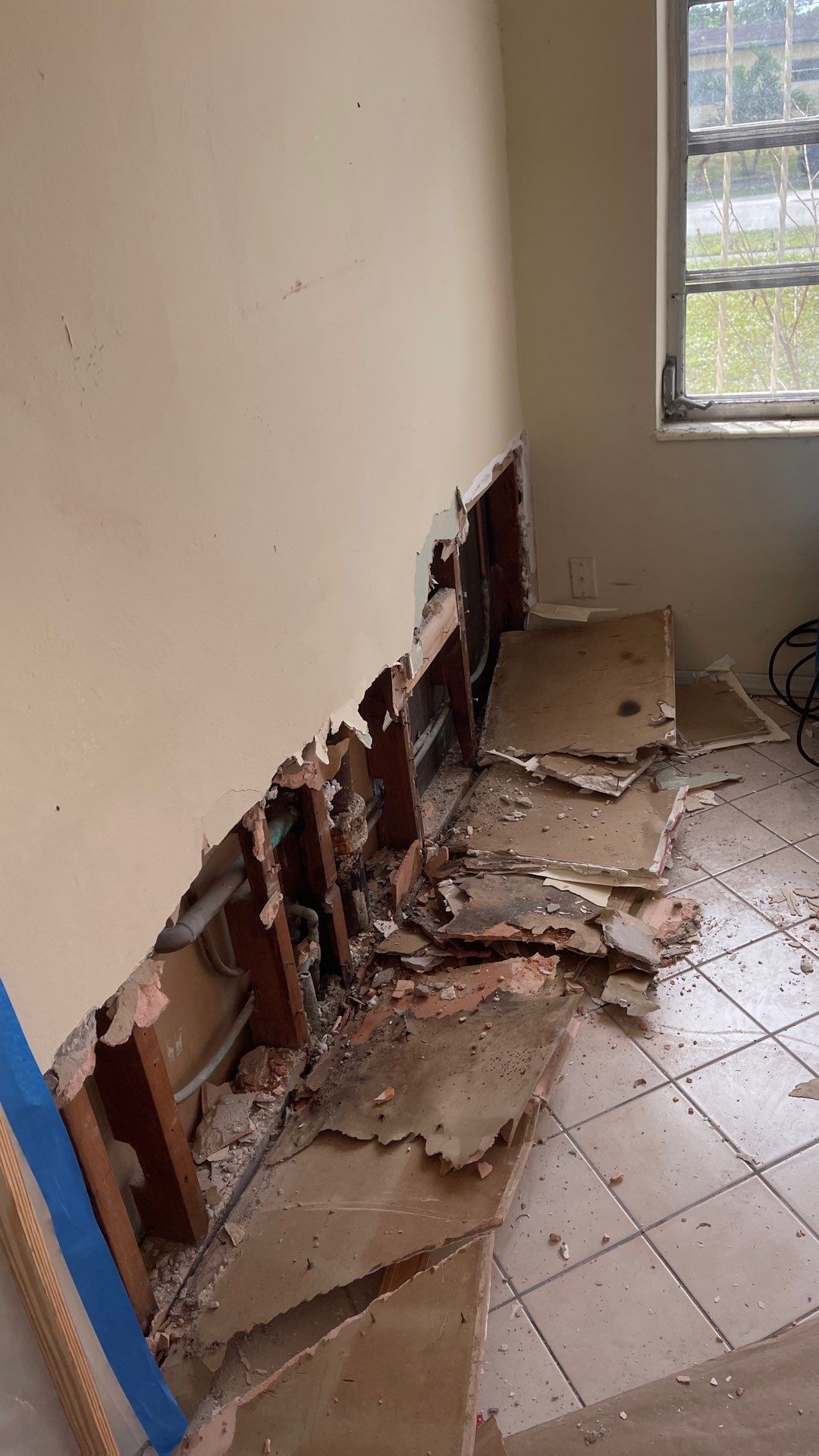 Mold Remediation  by THE RAPID TEAM
