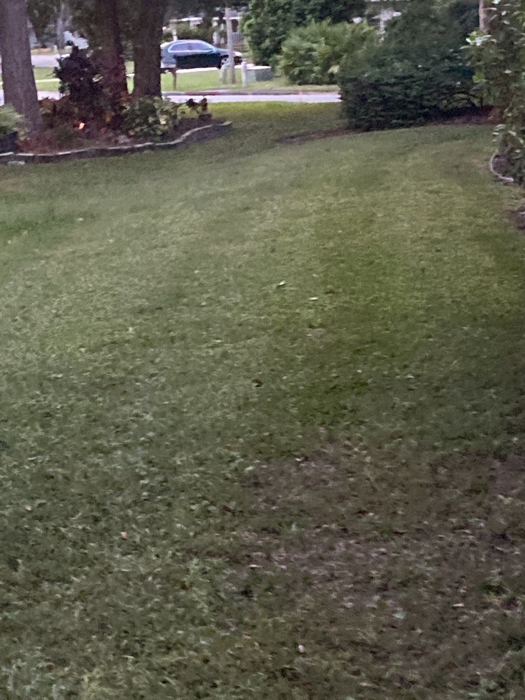 Bradenton, FL 4 ft. Tall 3-Rail Black Aluminum Fence by Asap fence and gates, LLC