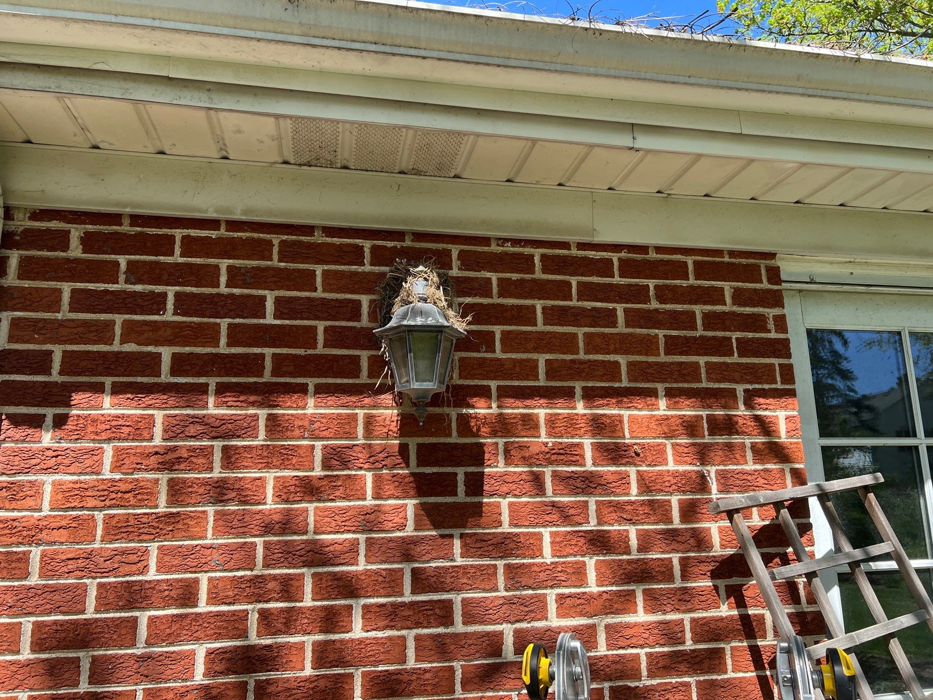 Housewashing  using Algaecide, soft wash soap by Northern Power Washing LLC.