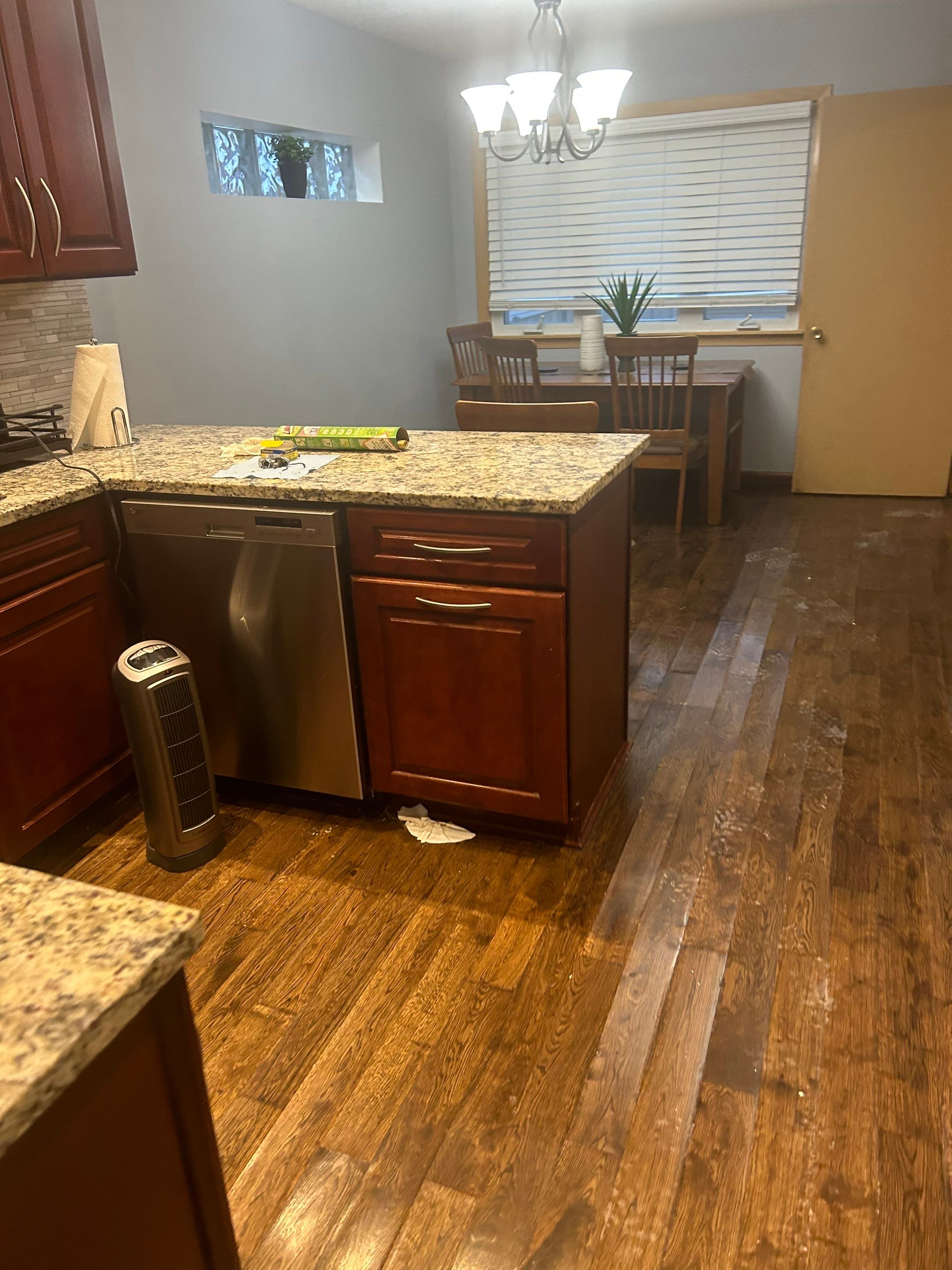 maria aguilera by Unlimited Fire Restoration