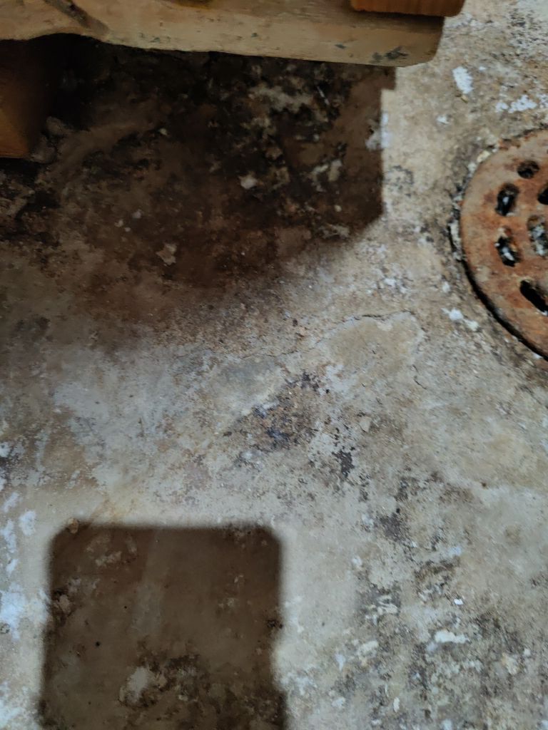 Sewage Backup Cleanup by Accountable Home Services