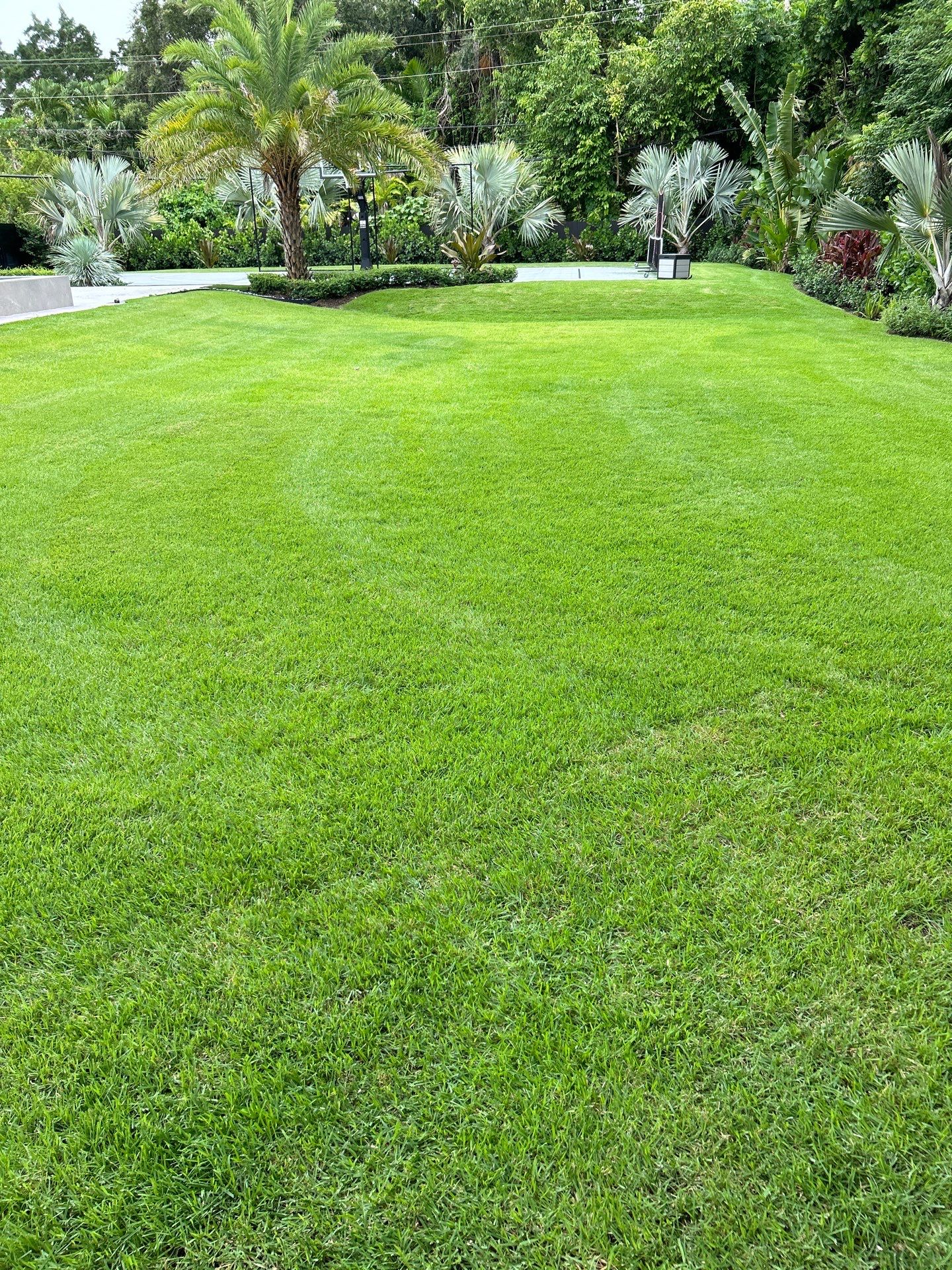 Pinecrest Landscape Upgrade from Minimum Requirements by Nature's Dream Landscape and Tree Service