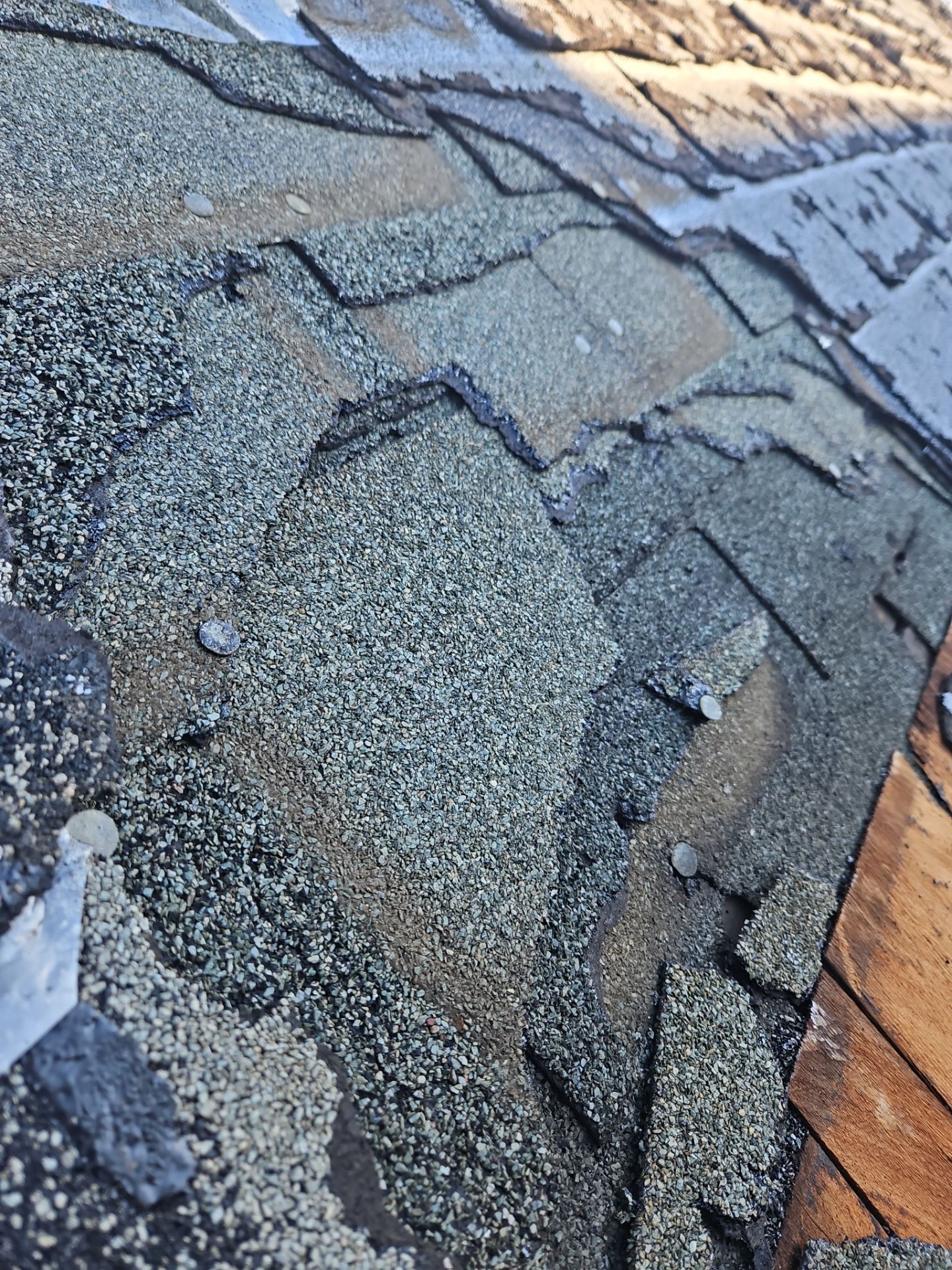 Roofing | Lowell by Mighty Dog Roofing of Greater Middlesex County