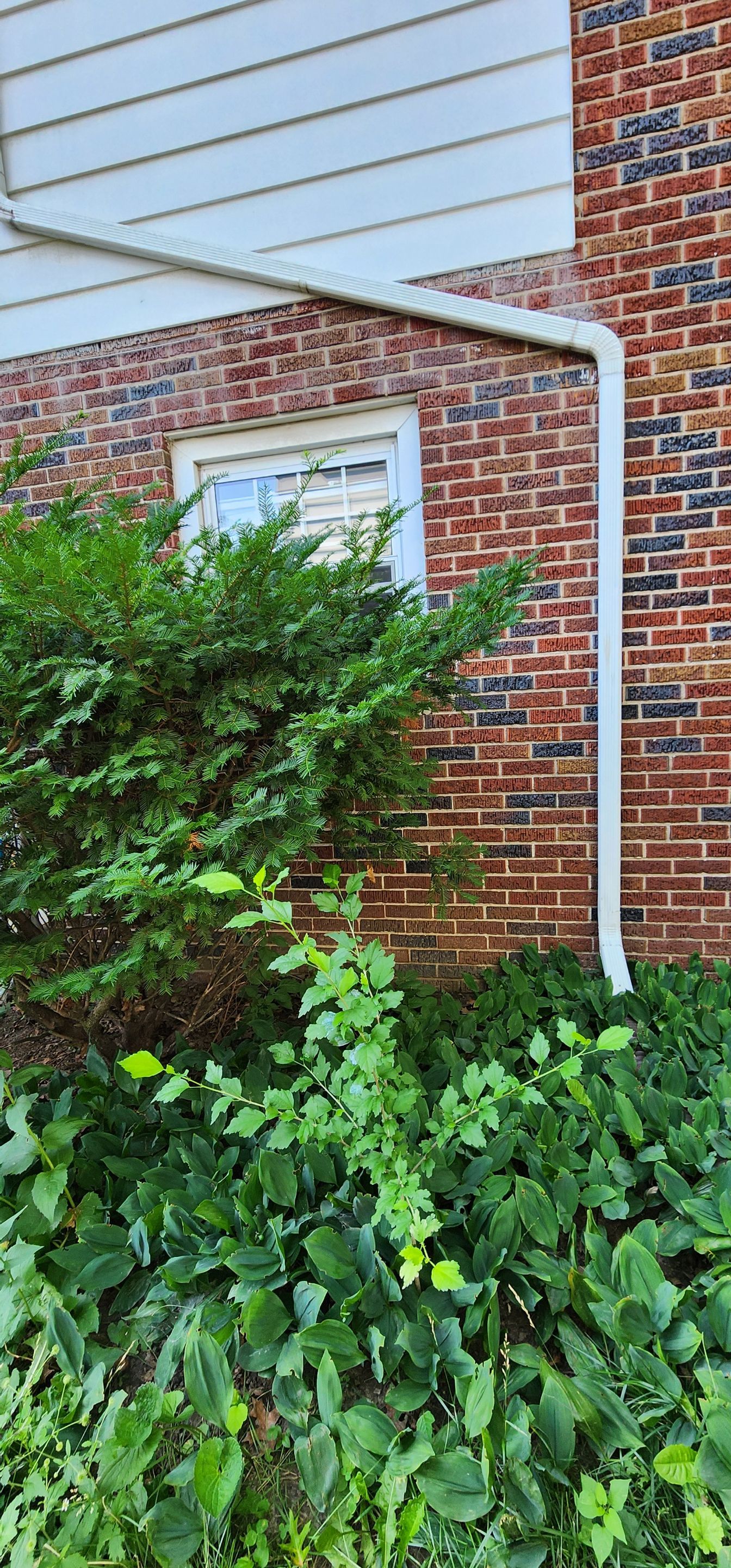 Interior Waterproofing by Toledo Basement Repair 