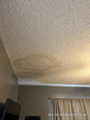 Pebble Springs Water Mold