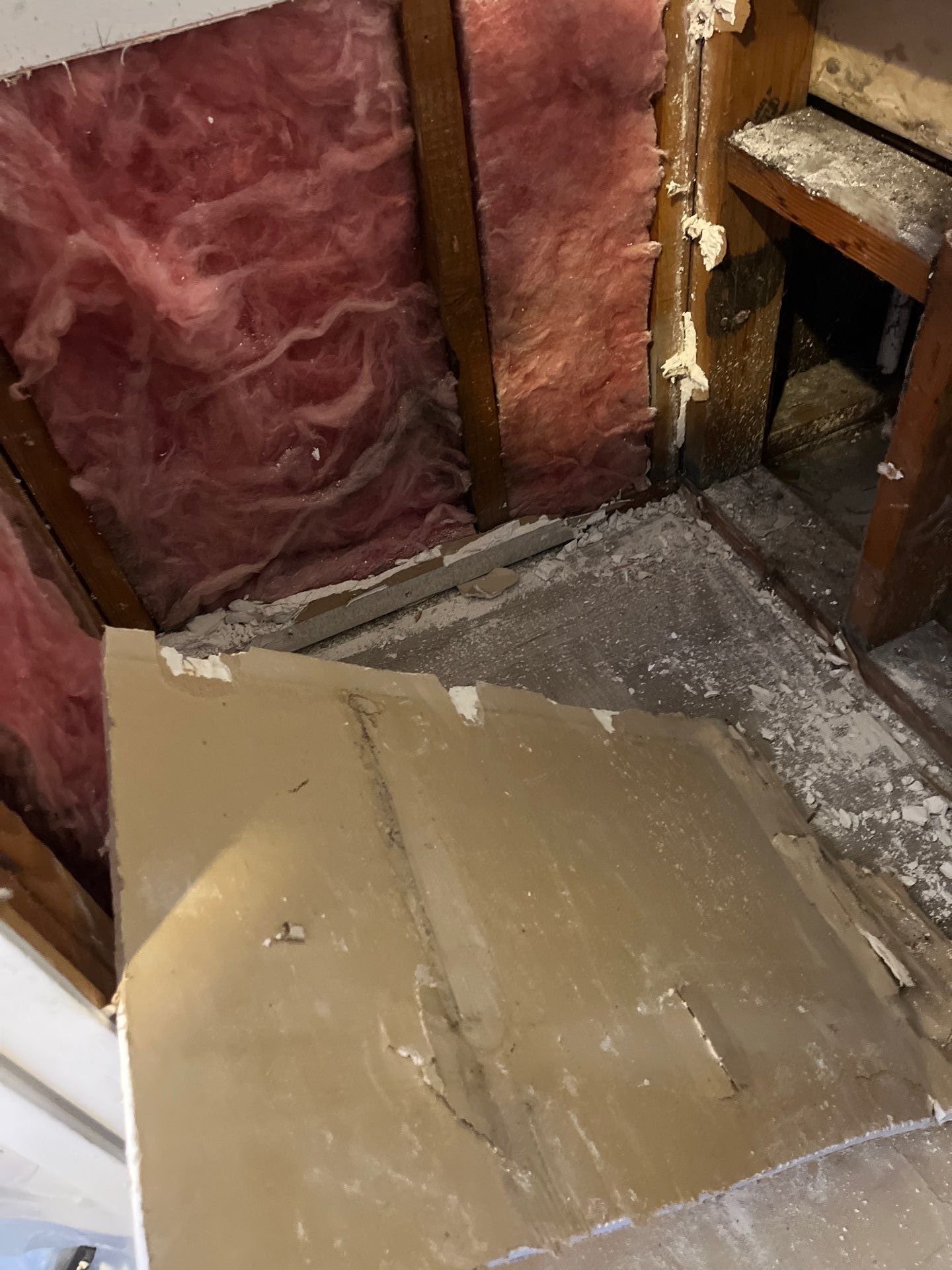 Mold Remediation & Rebuild in Laguna Niguel by One Stop Source