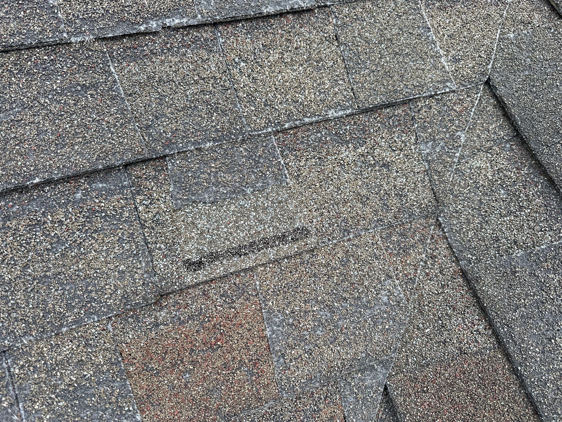 Residential Roofing Install - Atlas Pinnacle Pristine Shingles - Color Weathered Wood  by Titan Commercial & Residential Roofing 