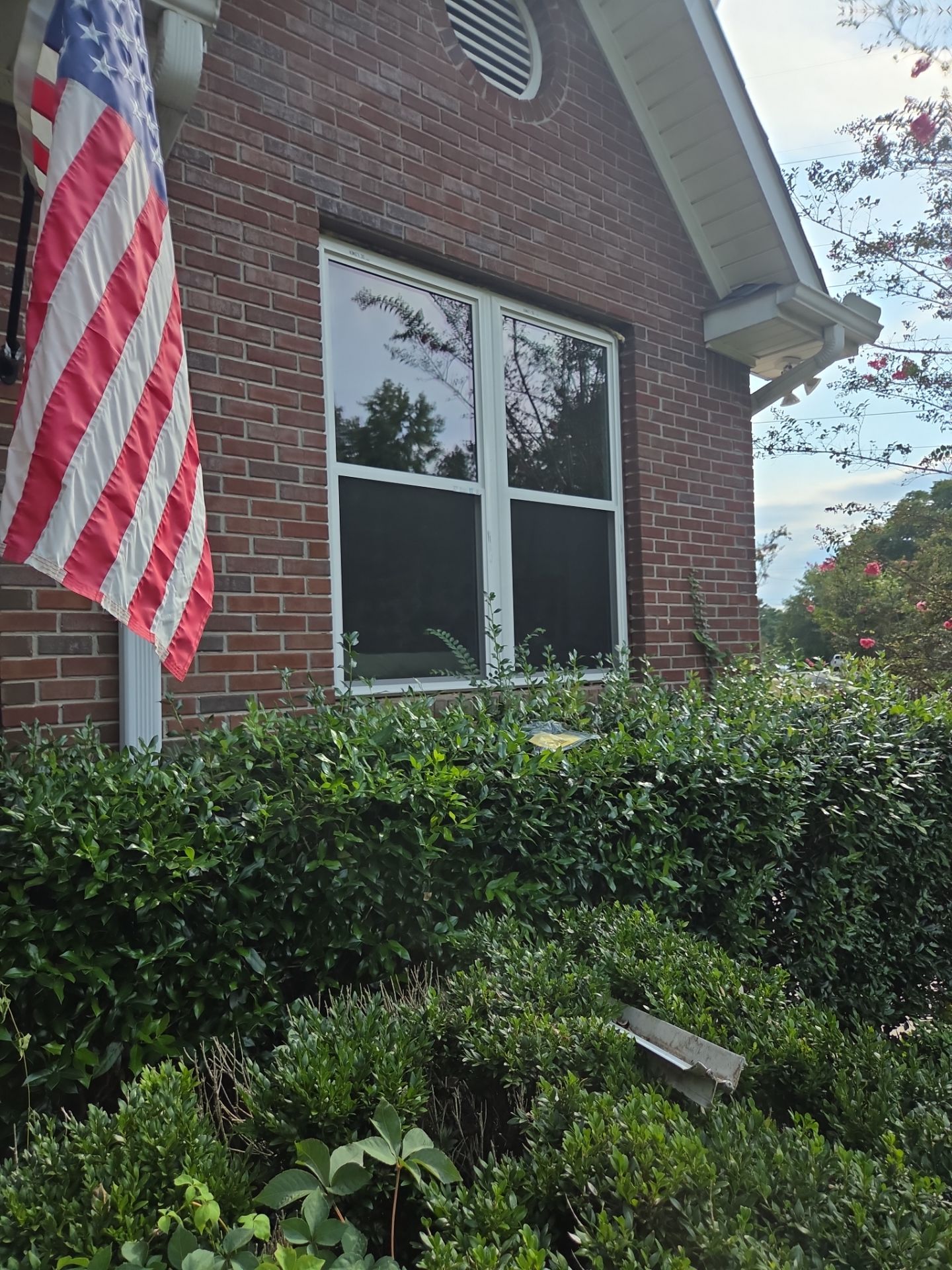 Jackson Project in Bessemer by The Window Source