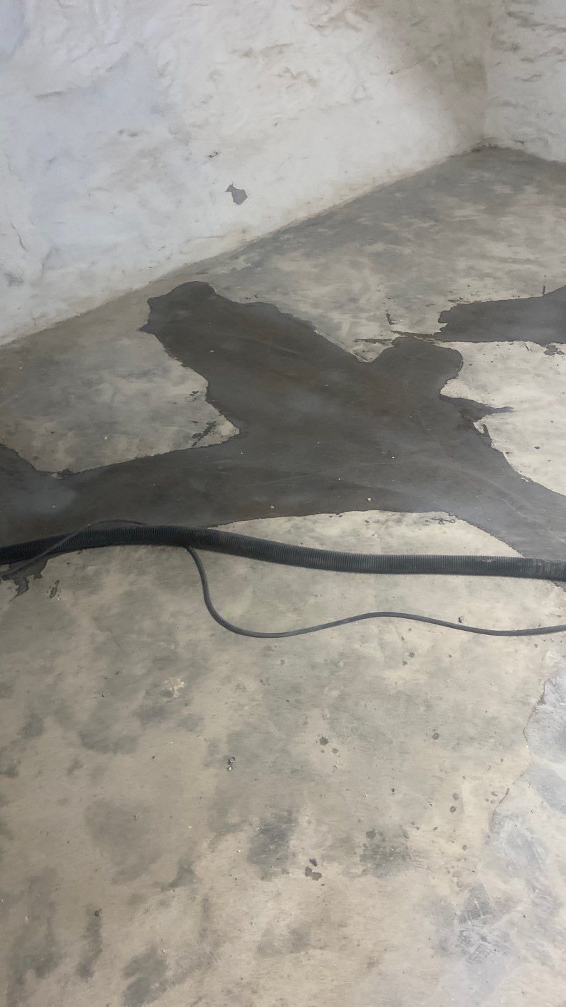 Cat Hospital Project in Pittsburgh by Floors in a Day, Inc