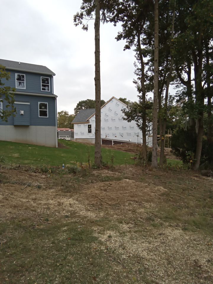 Tree Removal using Tree Removal by Mike Jones & Sons Tree Service LLC 