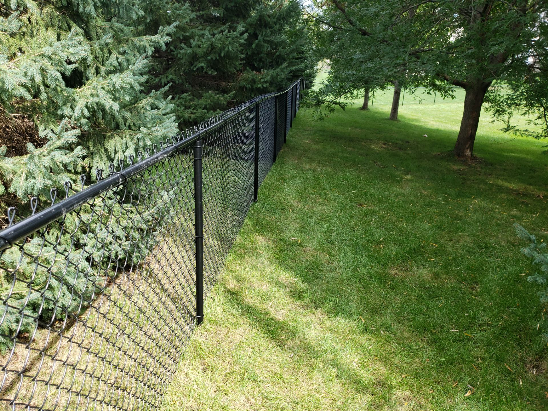 Black Vinyl-Coated Chain Link Fence Installation in Cedar Falls by Perfect Picket Fence and Stain