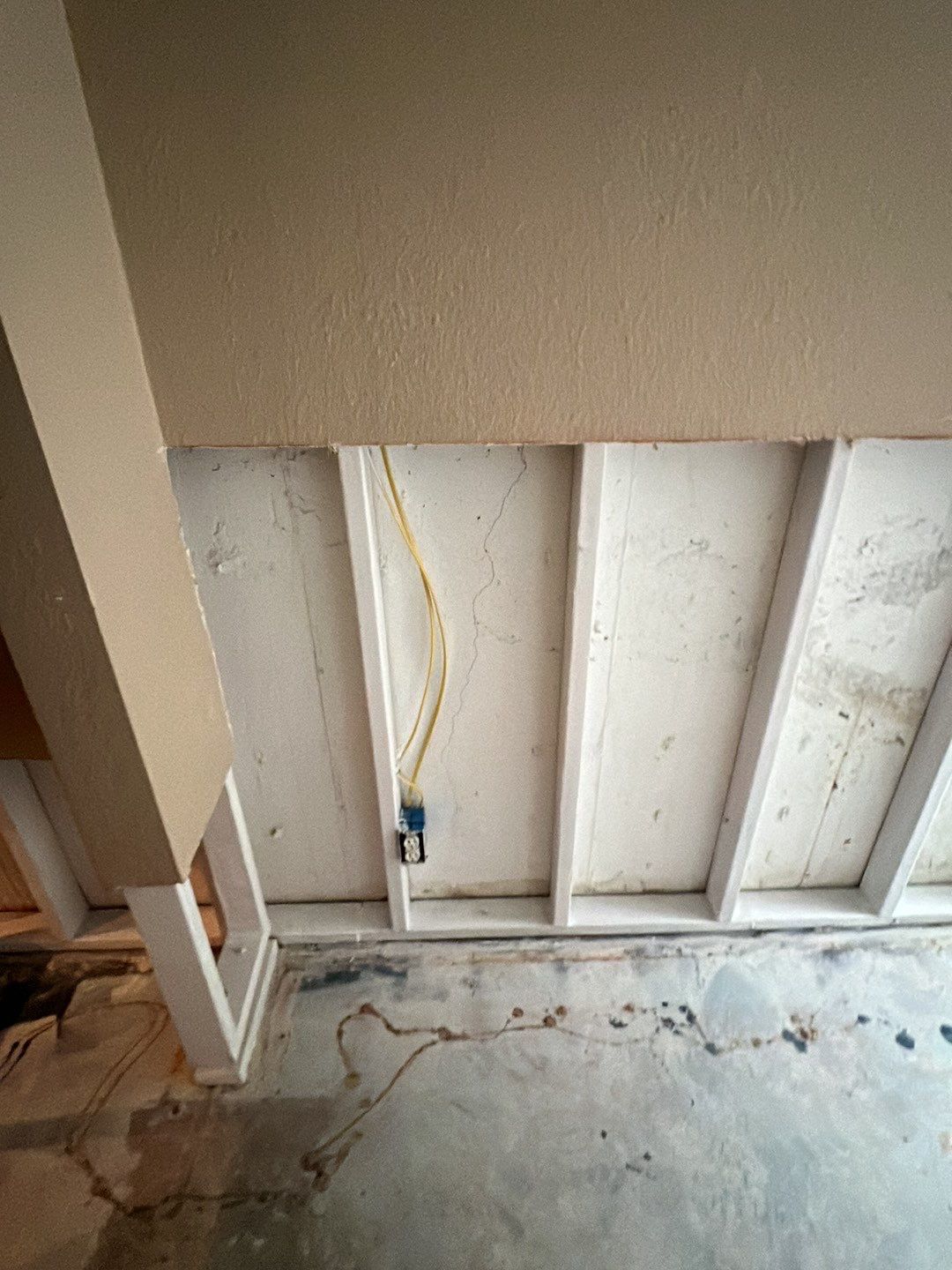 Mold Damage by Accountable Home Services